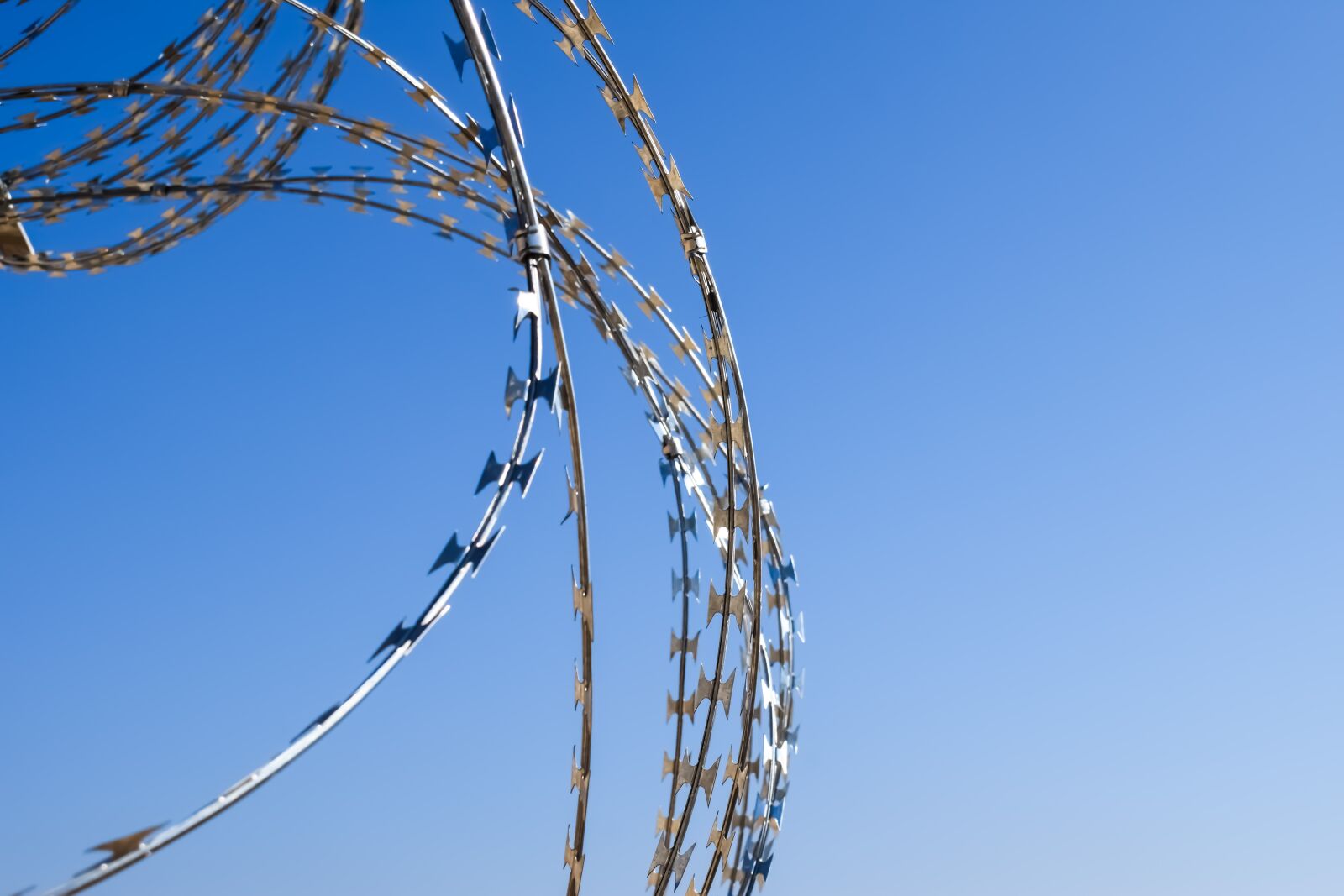 Nikon D3300 sample photo. Wire, fence, metal photography