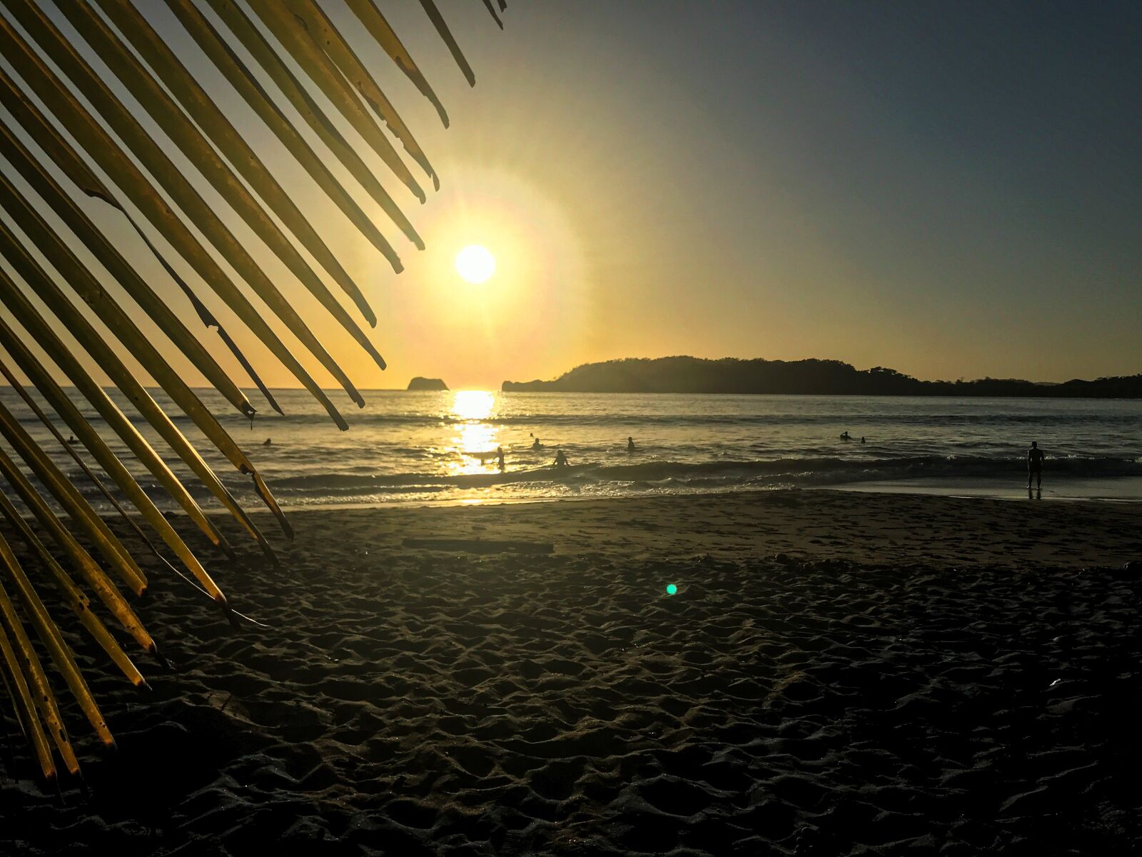 iPhone 7 Plus back dual camera 3.99mm f/1.8 sample photo. Sunset, palm, beach photography
