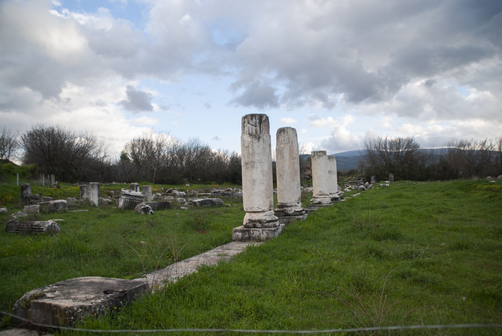Nikon D60 sample photo. On, rome, hellenic photography