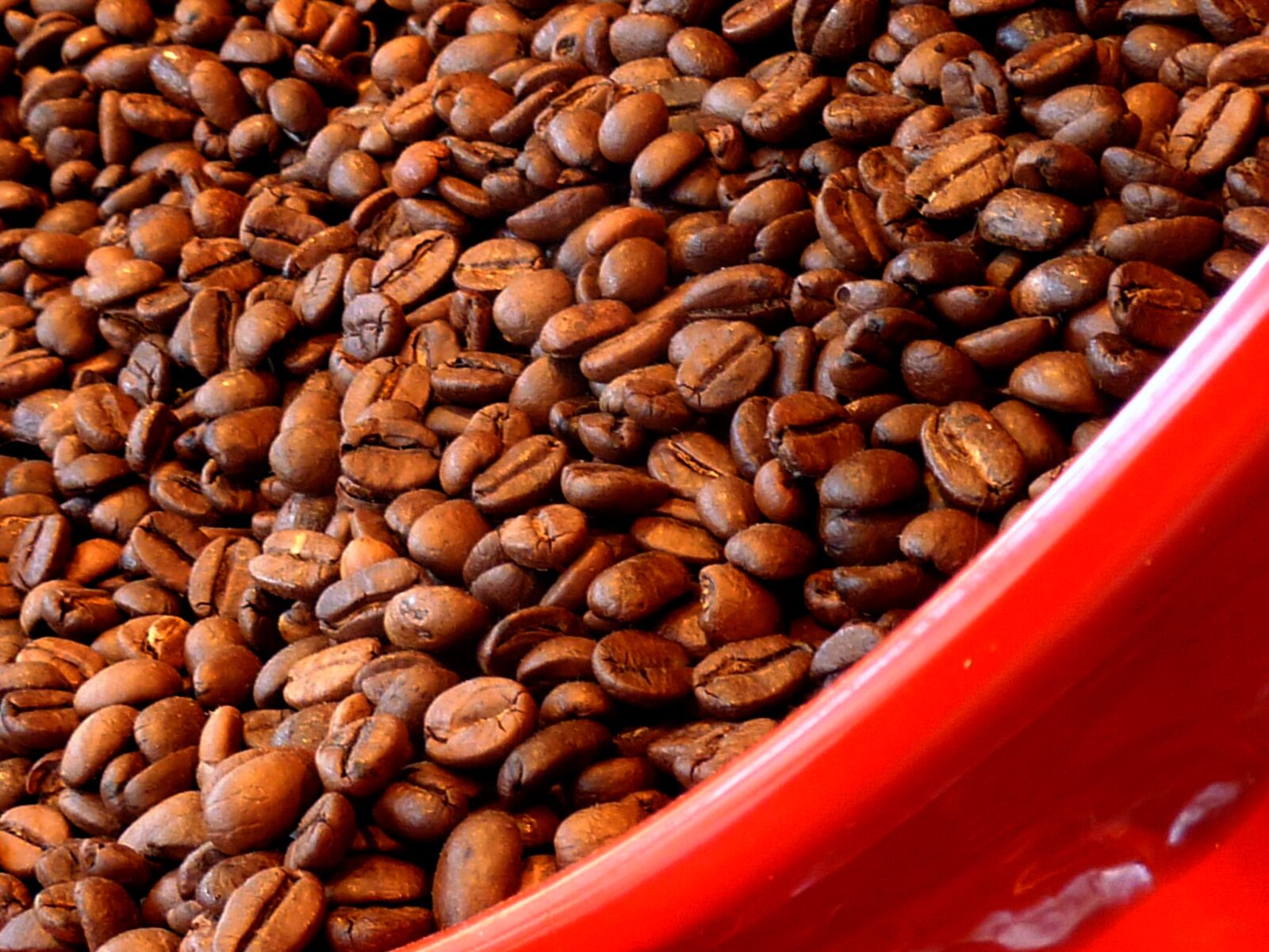 Panasonic DMC-TZ7 sample photo. Coffee, coffee beans, aroma photography