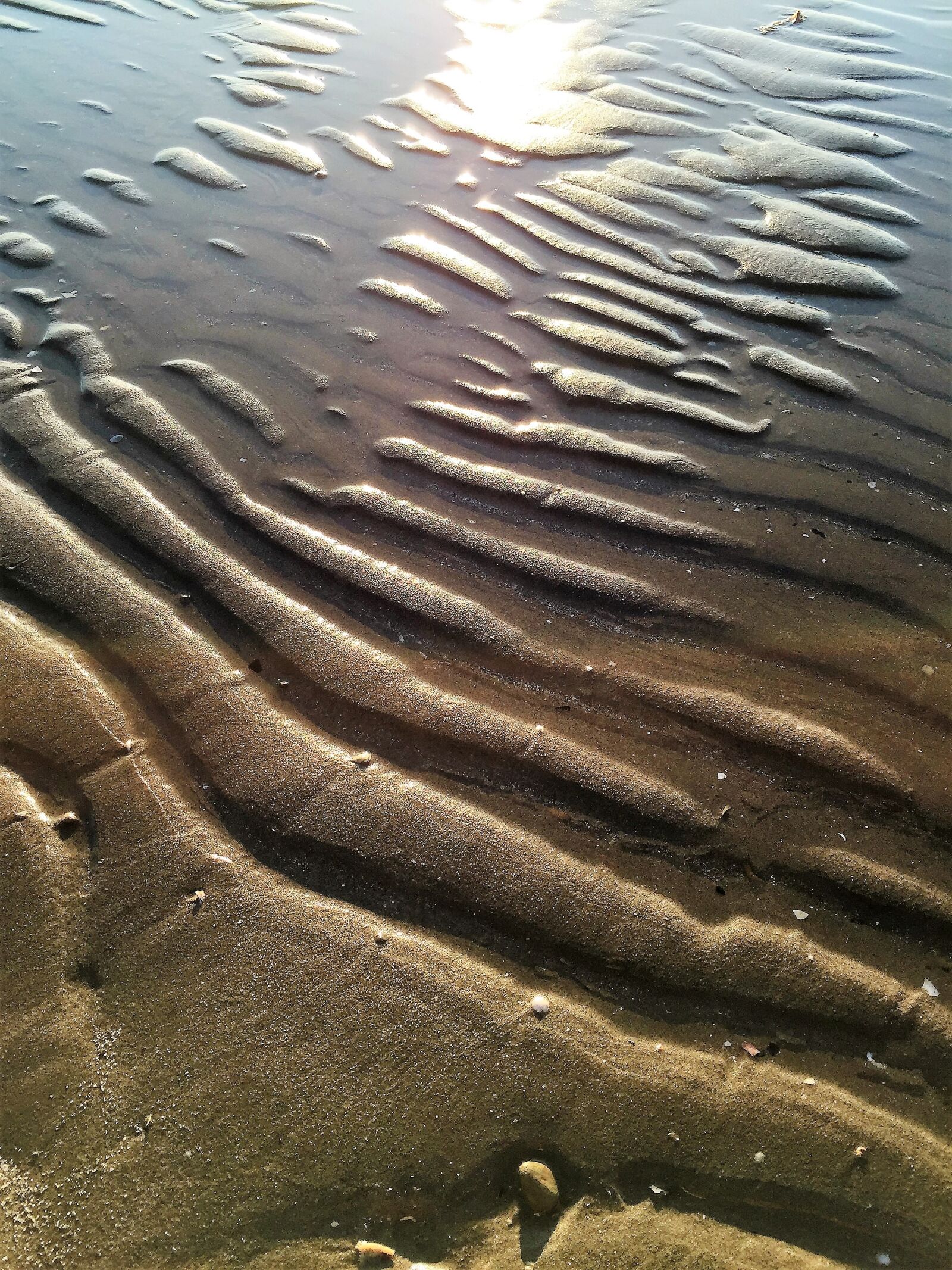 Apple iPhone 6 sample photo. Beach, sand, wave photography