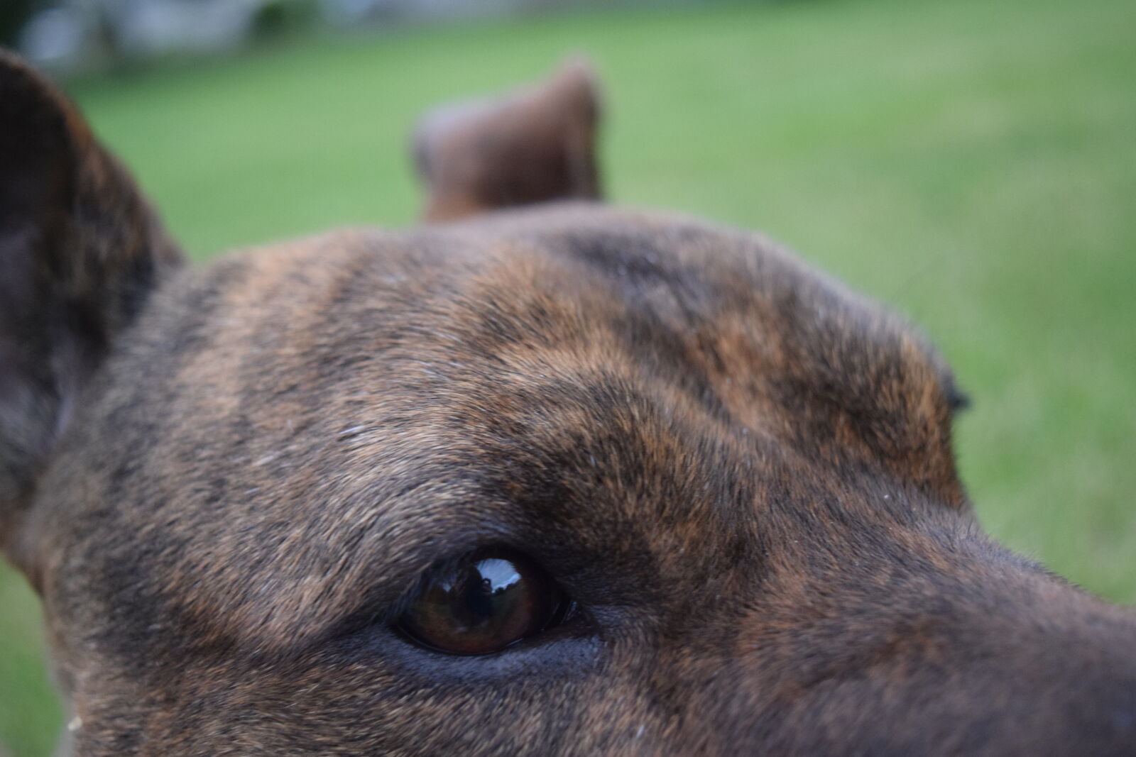 Nikon D3300 sample photo