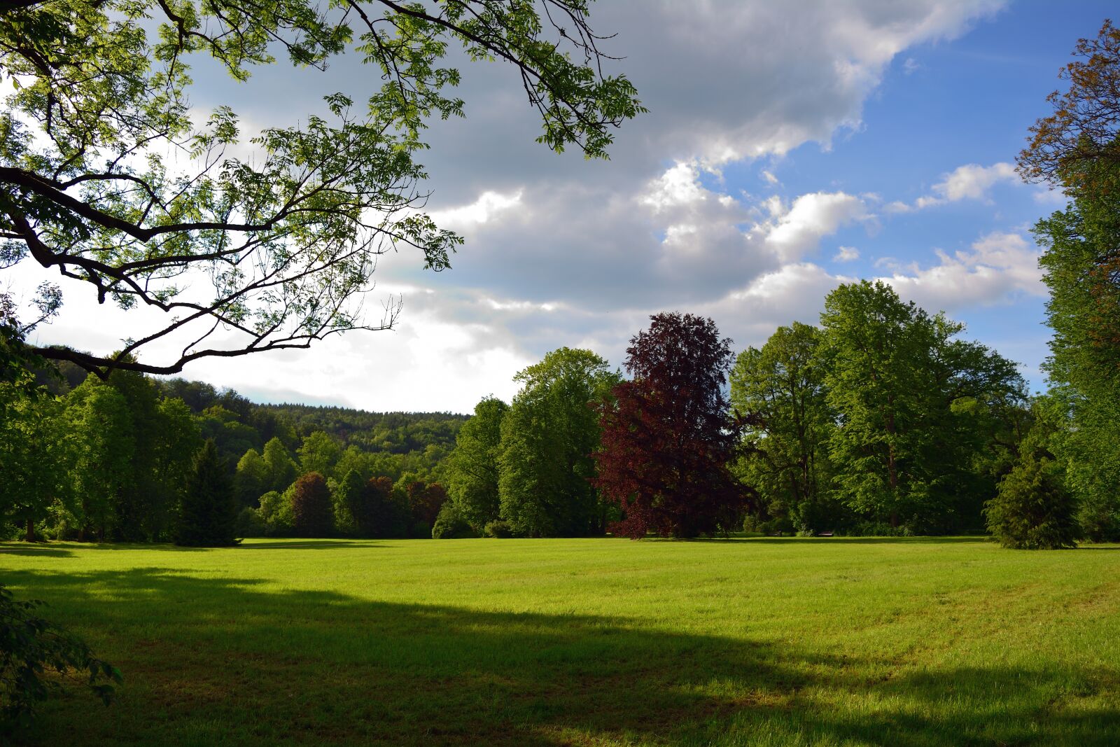 Nikon D5200 sample photo. Park, landscape, nature photography