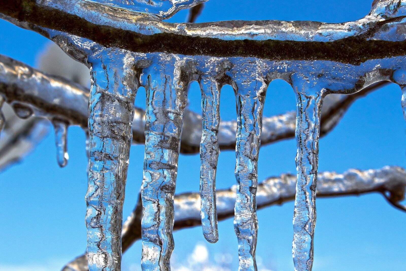 Canon EOS 1300D (EOS Rebel T6 / EOS Kiss X80) sample photo. Icicle, branch, winter photography