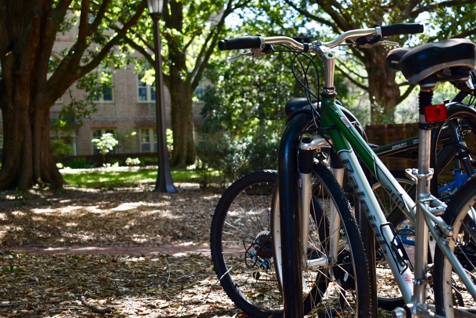 Nikon D3400 sample photo. W m, campus, student photography