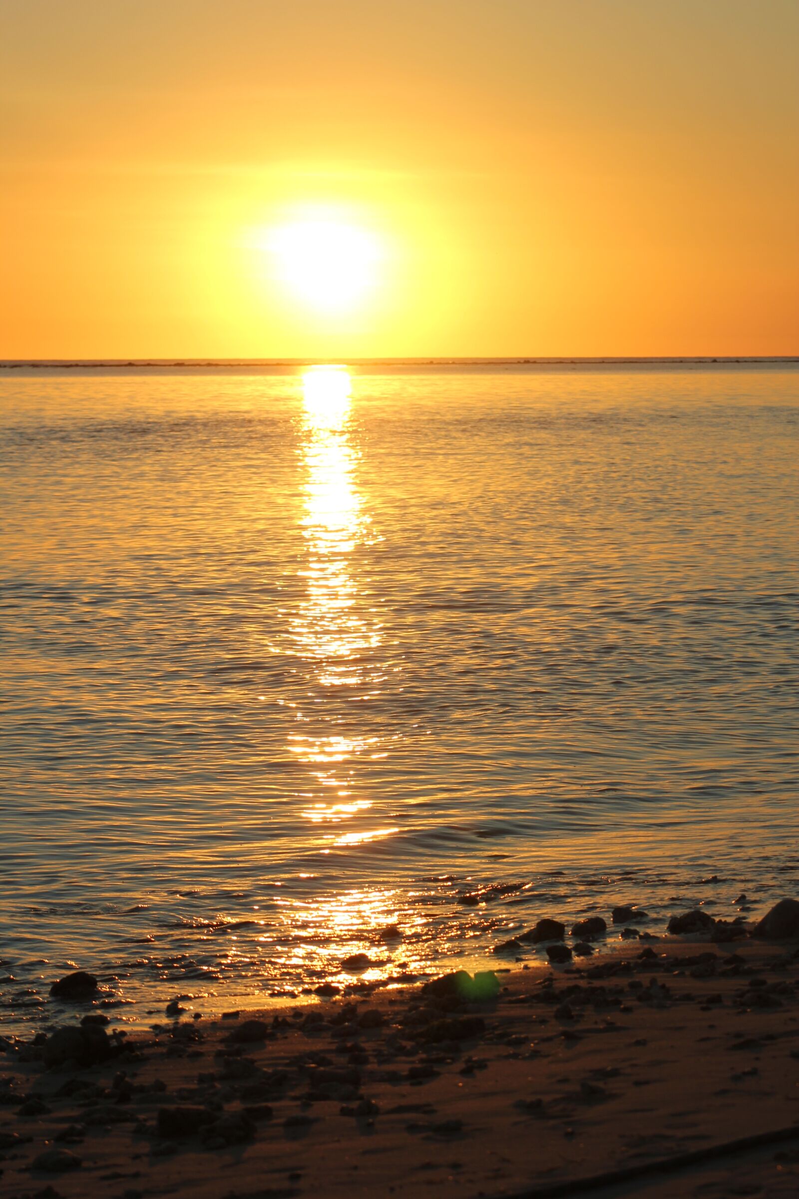 Canon EOS 550D (EOS Rebel T2i / EOS Kiss X4) sample photo. Sun, sunset, reflection photography