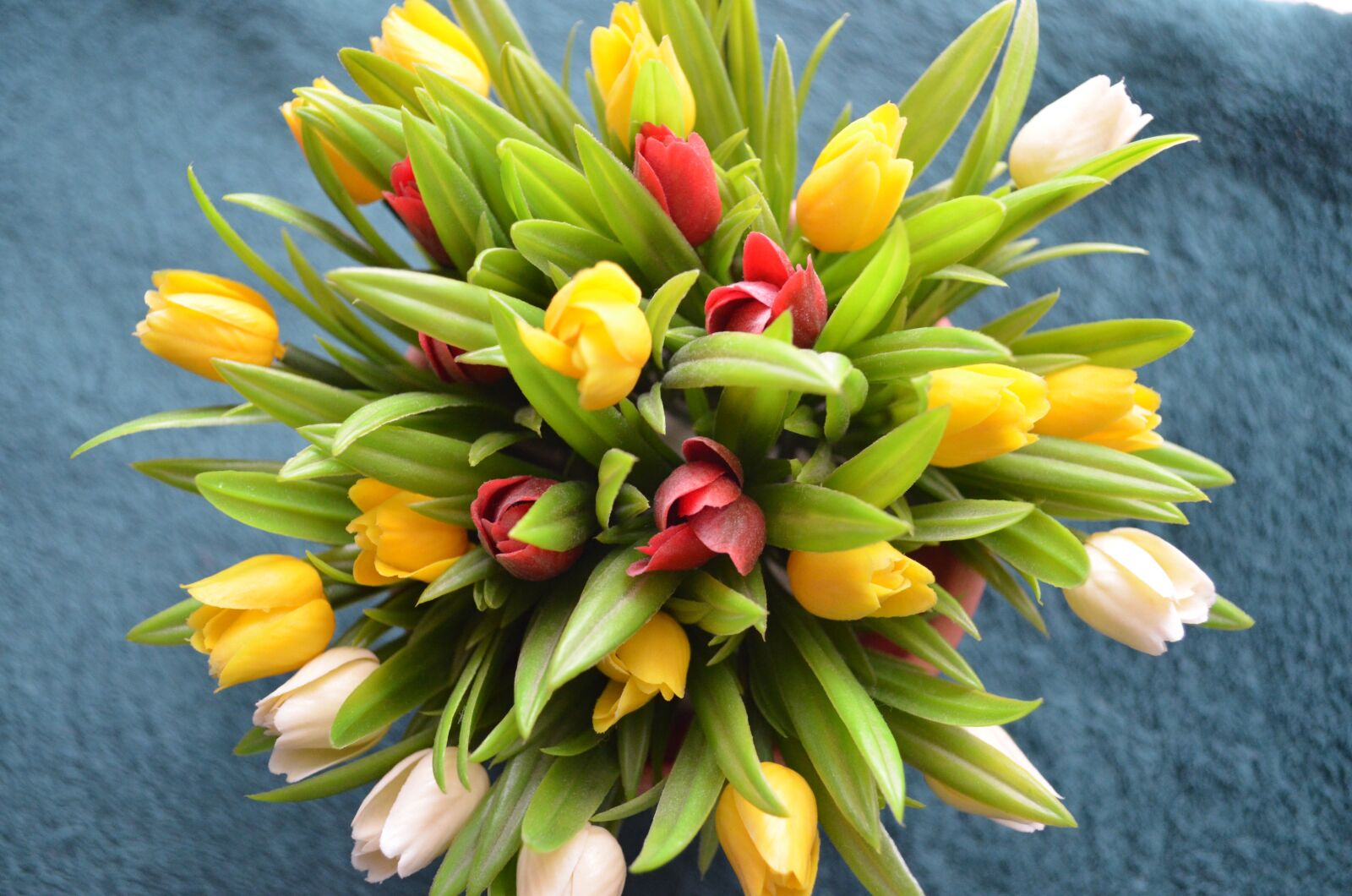 Nikon D5100 sample photo. Fresh, floral, flower photography