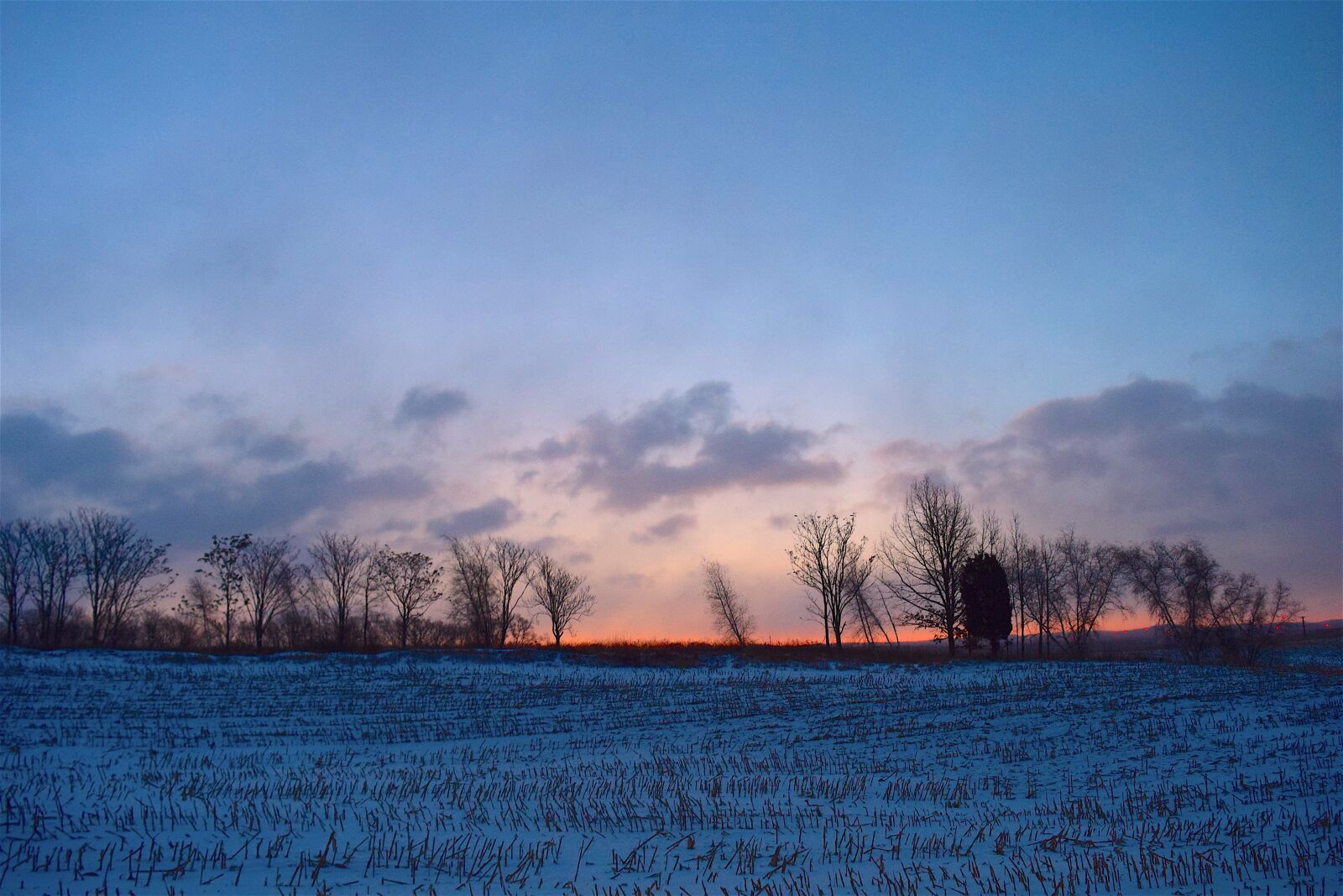 Nikon D3300 sample photo. Sunrise, winter, field photography
