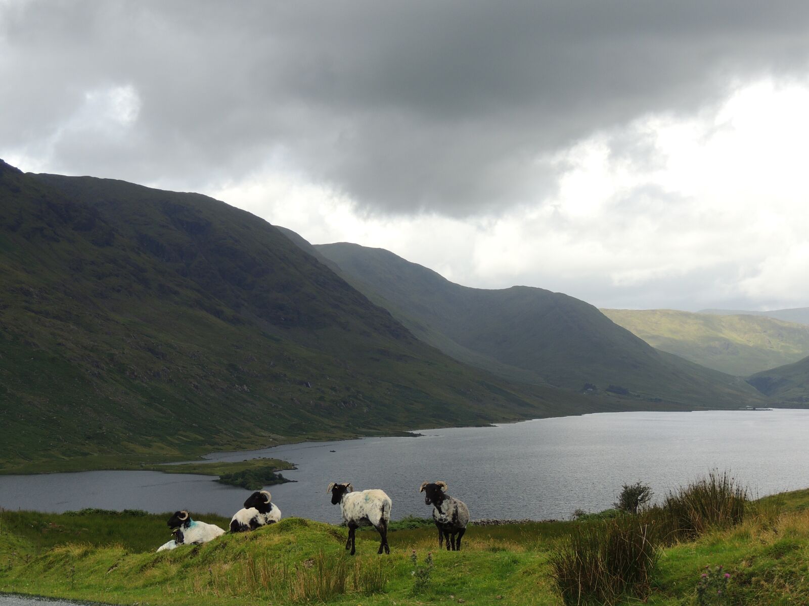 Nikon Coolpix P510 sample photo. Ireland, landscape, nature photography