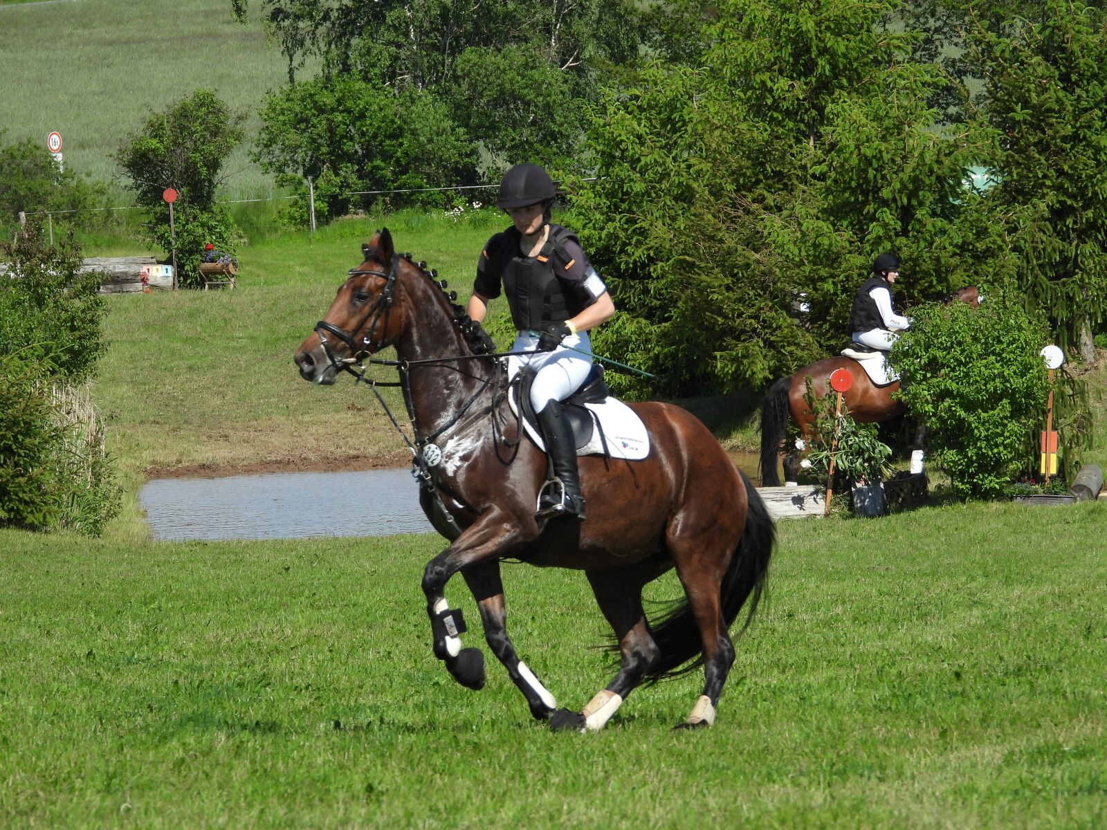 Nikon Coolpix P1000 sample photo. Horse, ride, vogtland photography