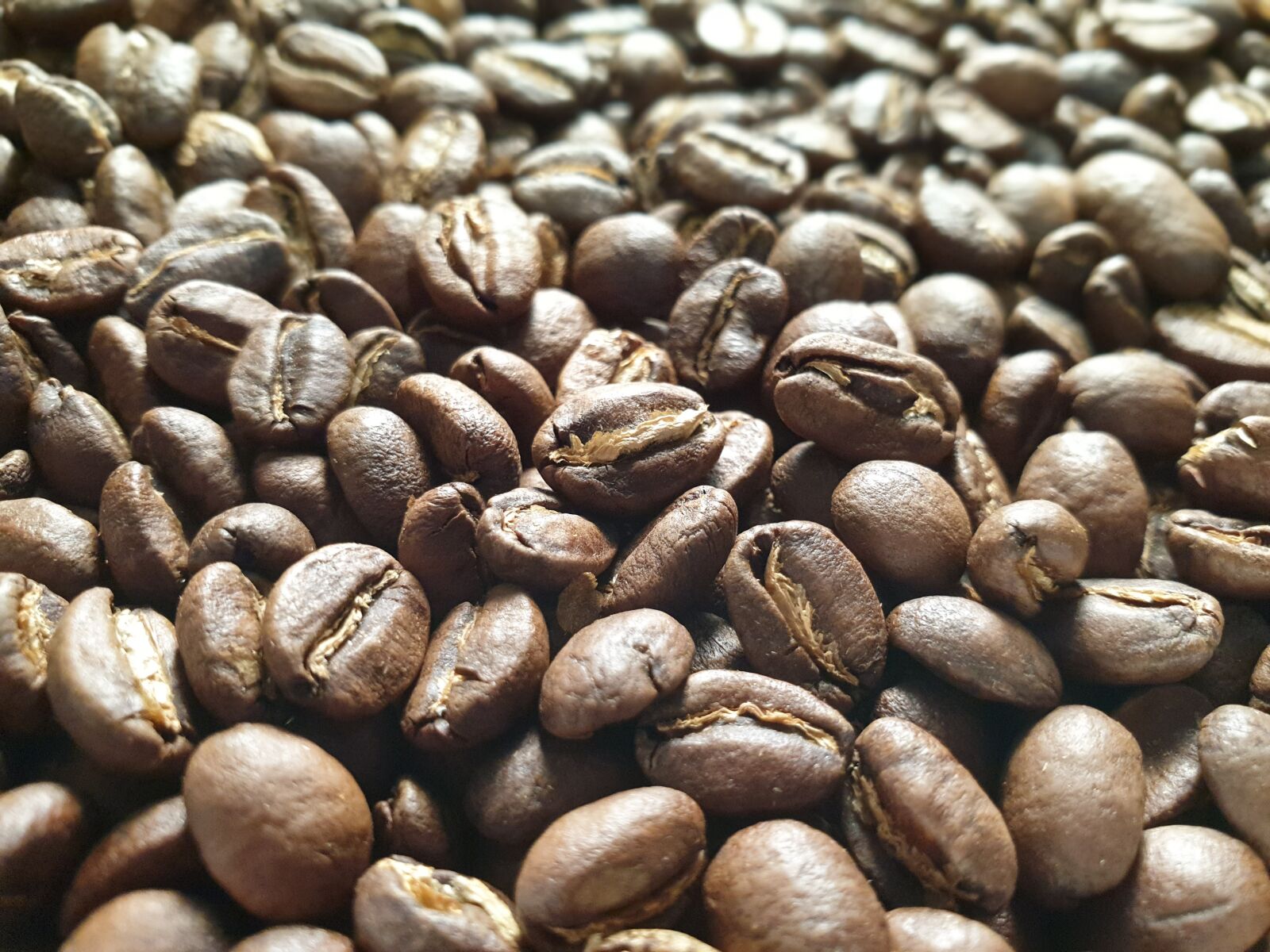 Samsung Galaxy S9 sample photo. Bean, coffee, coffee beans photography