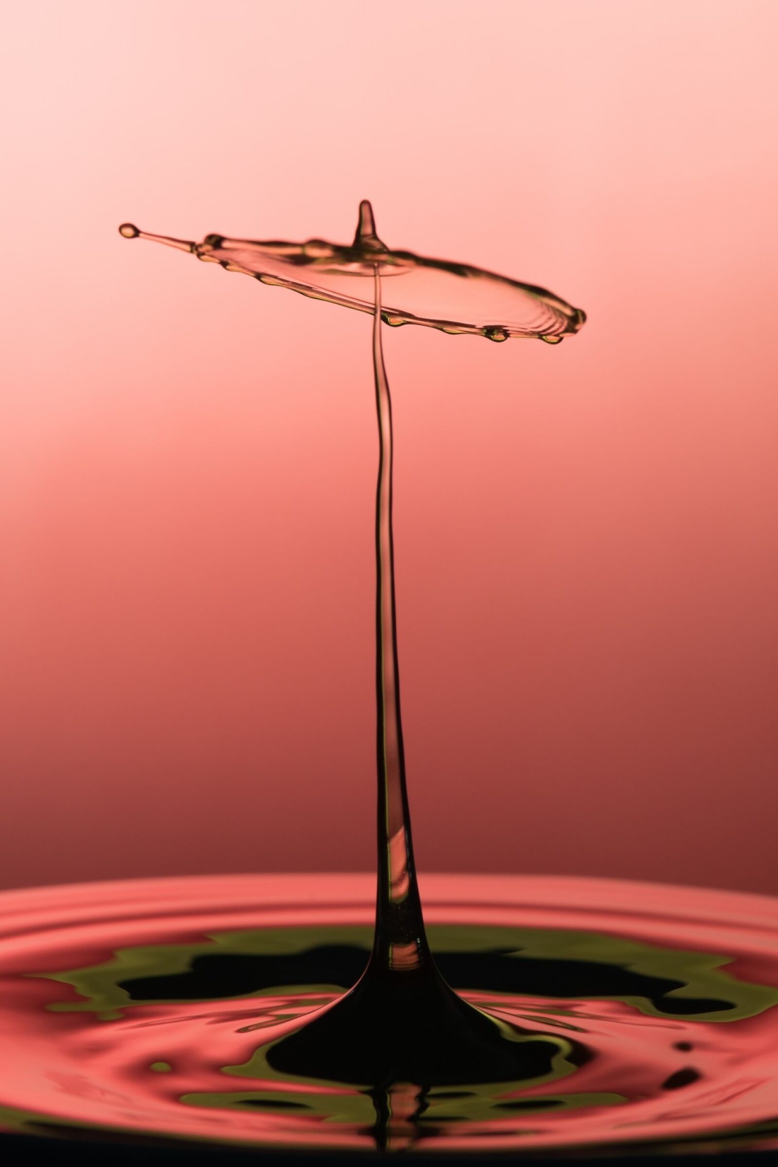 Nikon D800 sample photo. Pink, and, white, painting photography