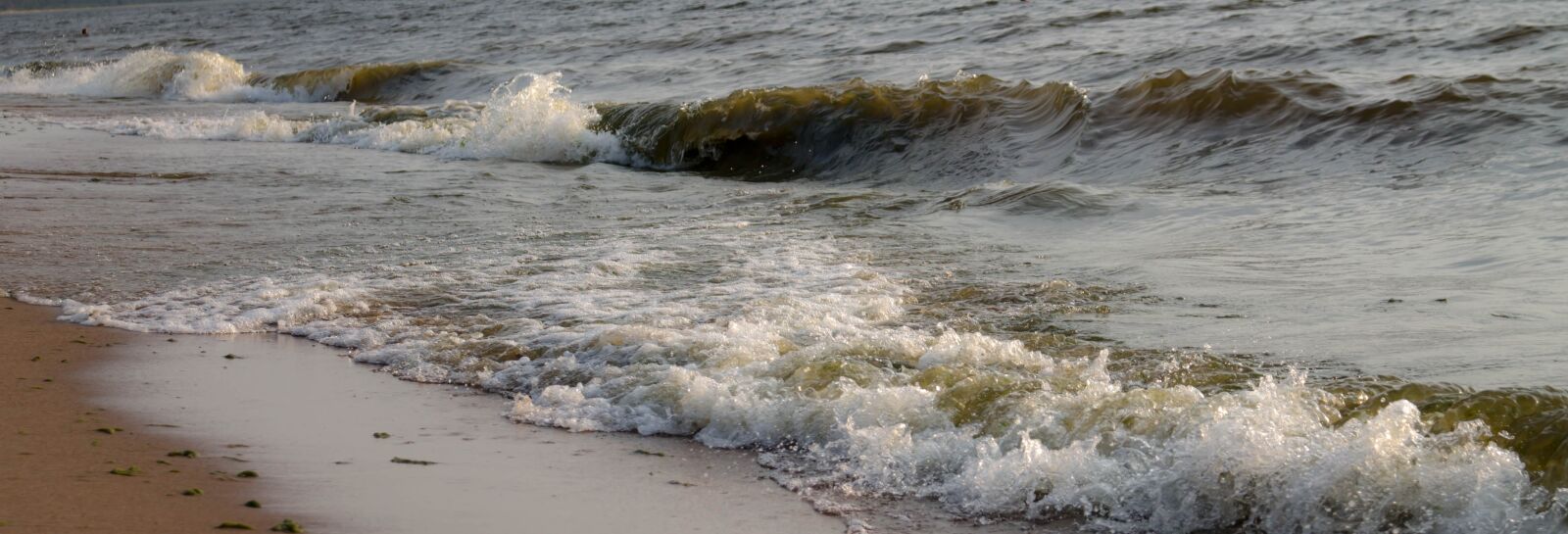 Canon EOS 1100D (EOS Rebel T3 / EOS Kiss X50) sample photo. Summer, the baltic sea photography
