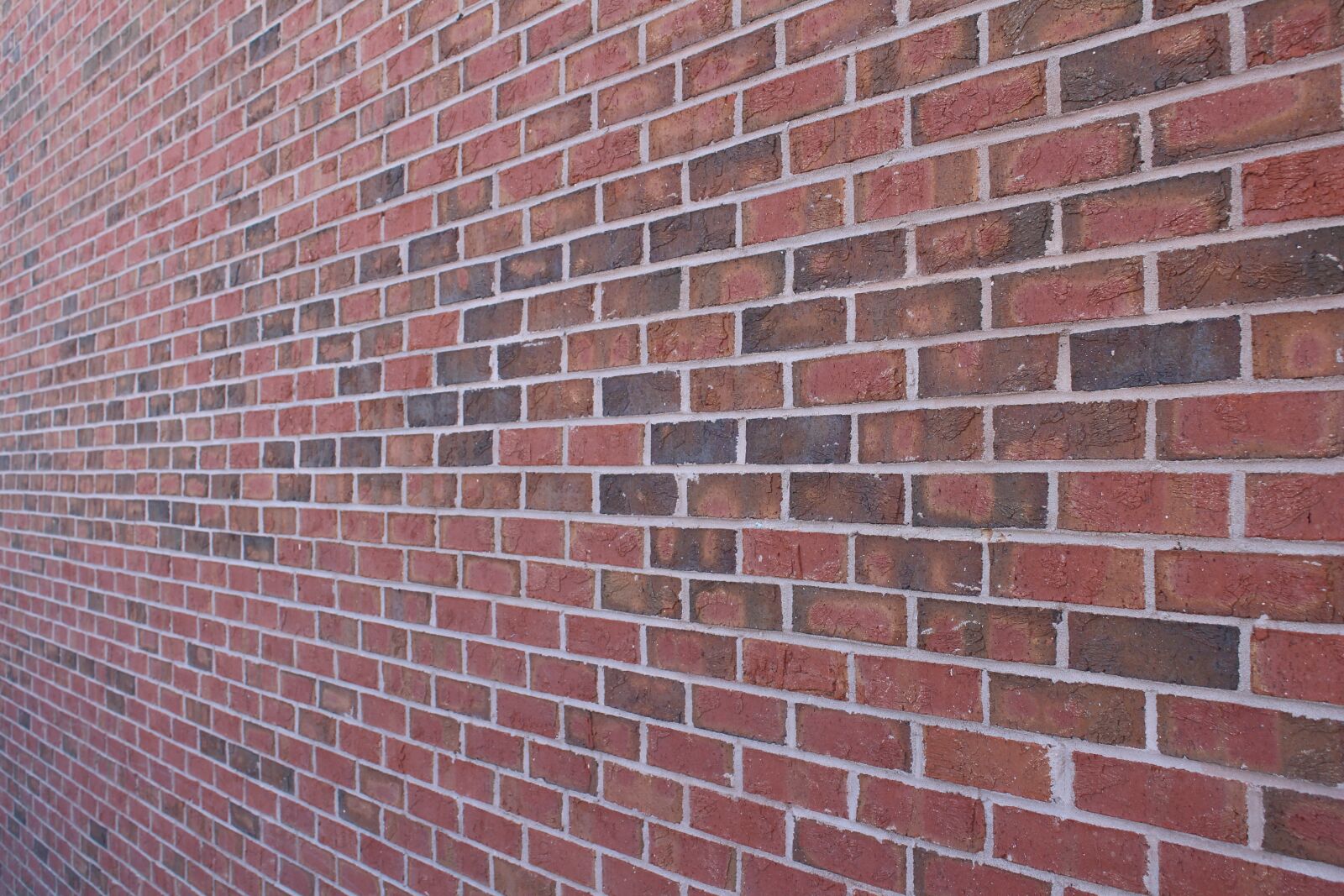 Canon EOS 650D (EOS Rebel T4i / EOS Kiss X6i) sample photo. Brick, wall, brickwall photography