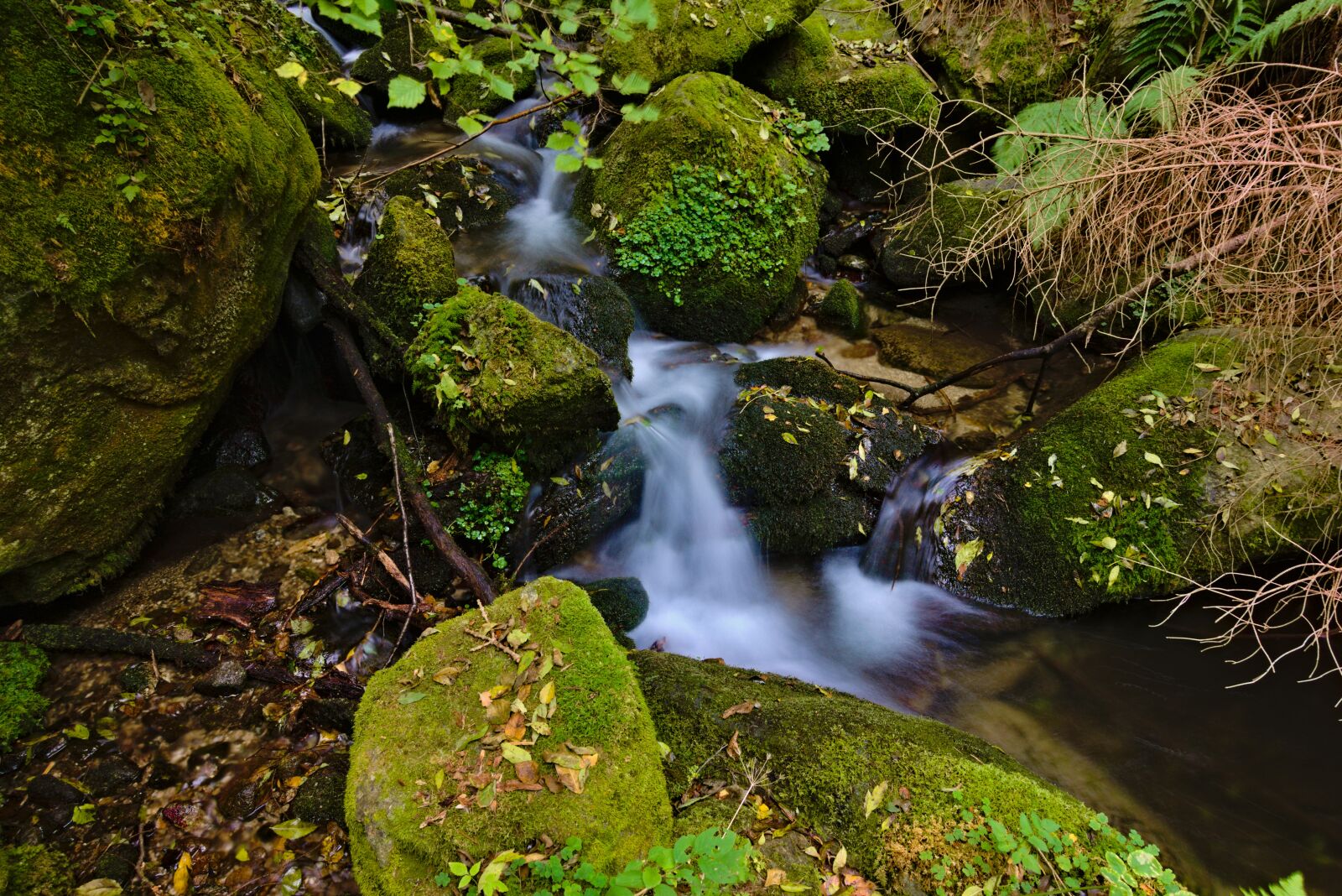 Sony DSC-RX100M5A sample photo. Cascade, creek, water photography