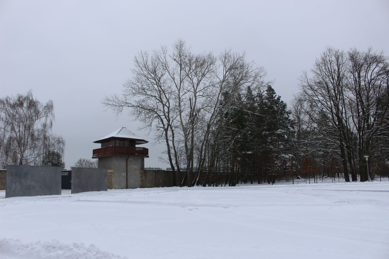Canon EOS 100D (EOS Rebel SL1 / EOS Kiss X7) sample photo. Snow, trees, winter photography