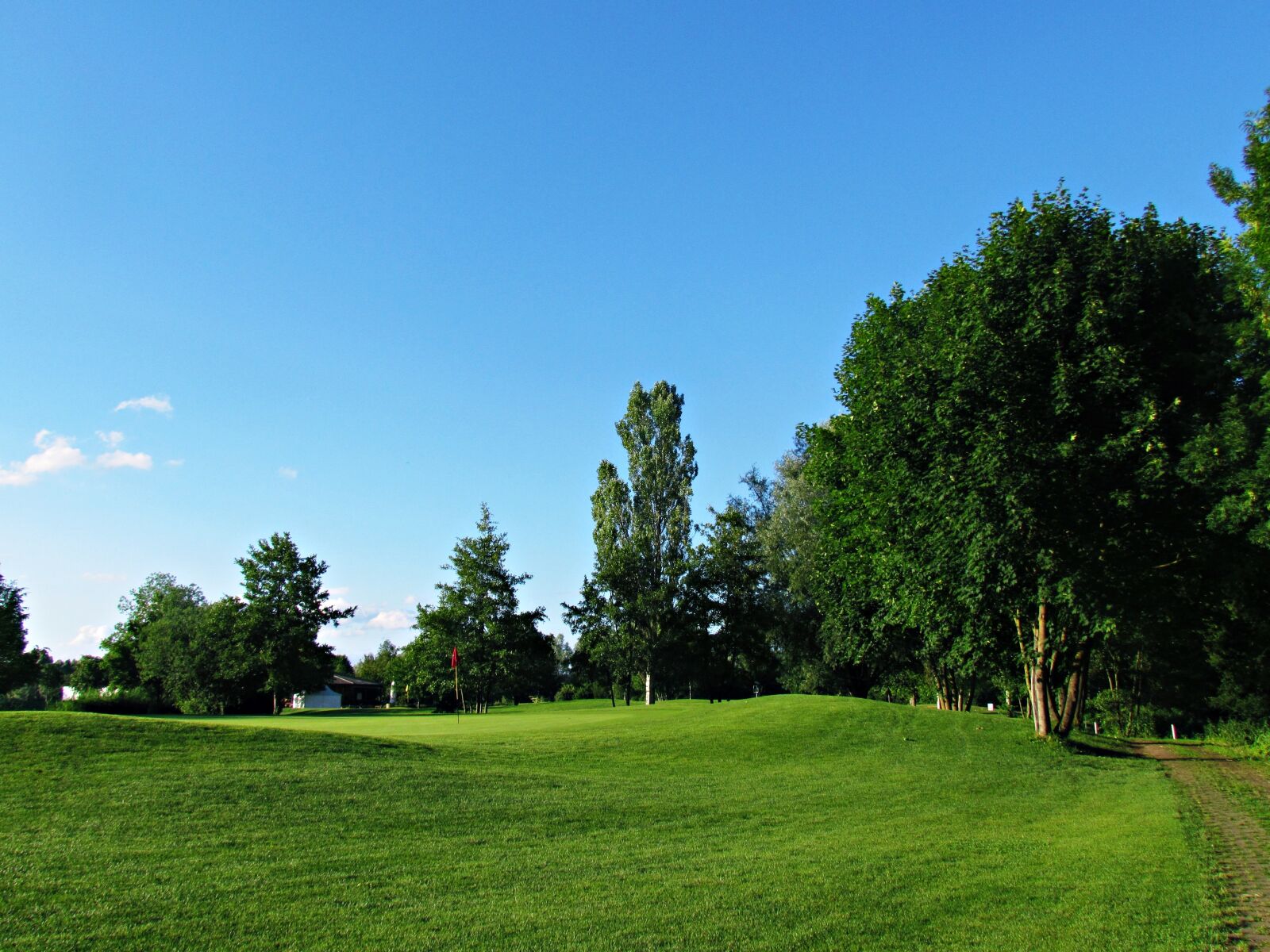 Canon PowerShot SX30 IS sample photo. Field, meadow, green photography