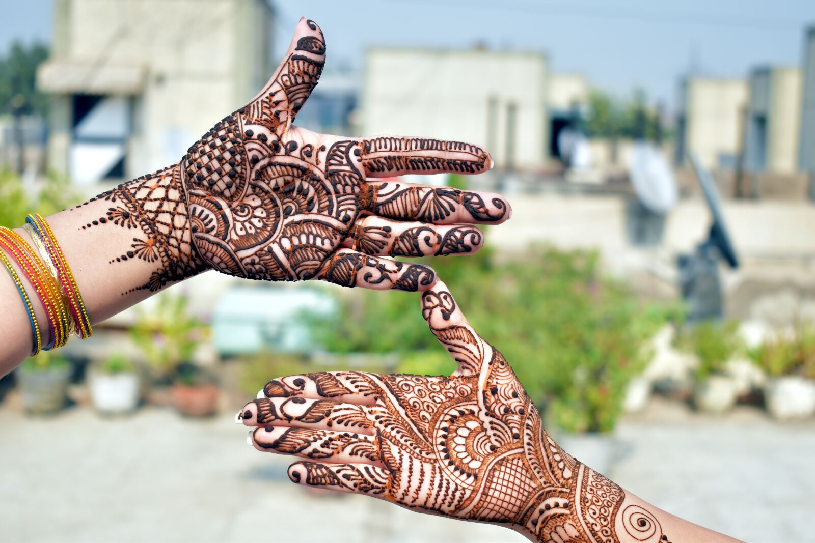 Nikon D5600 sample photo. Mehndi, decorative designs, henna photography