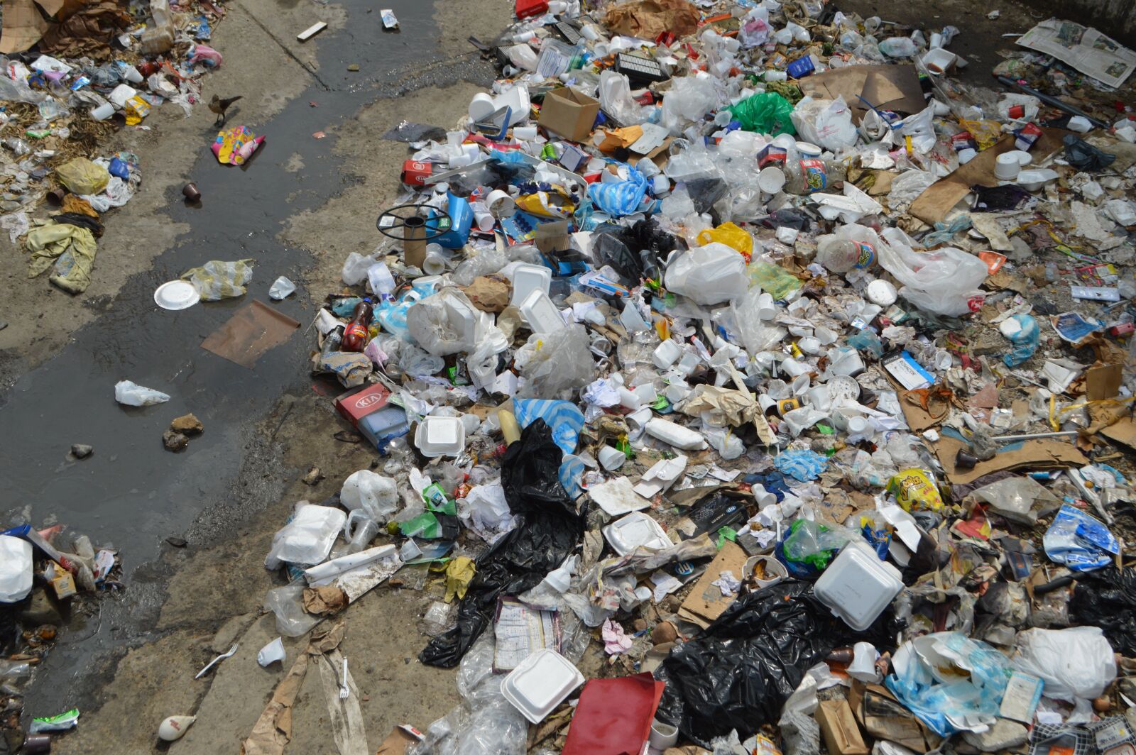 Nikon D3200 sample photo. Pollution, trash, i desquido photography