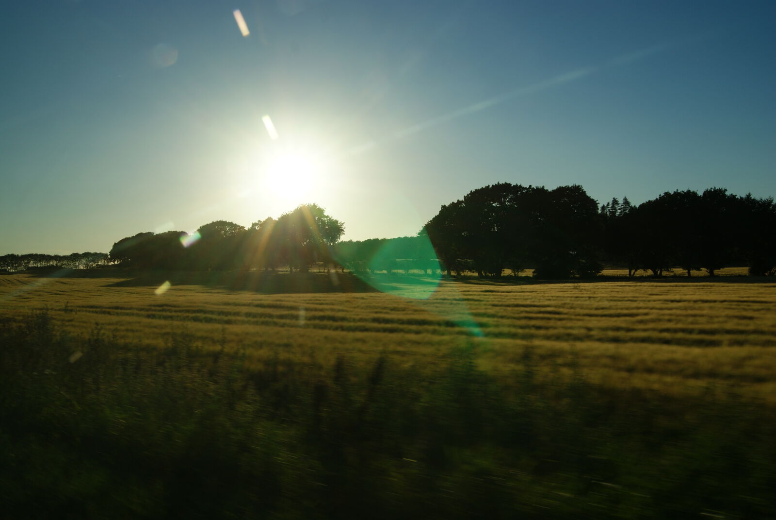 Sony Alpha DSLR-A230 sample photo