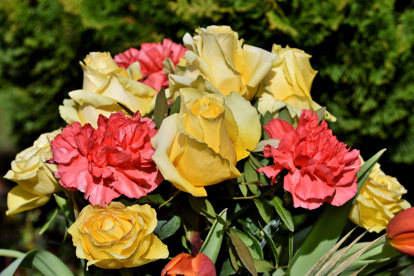 Nikon D7200 sample photo. Rose, carnation, bouquet of photography