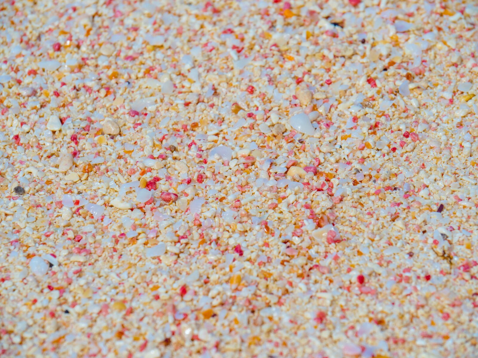 Olympus OM-D E-M1 Mark II sample photo. Pink sand, beach, bermuda photography