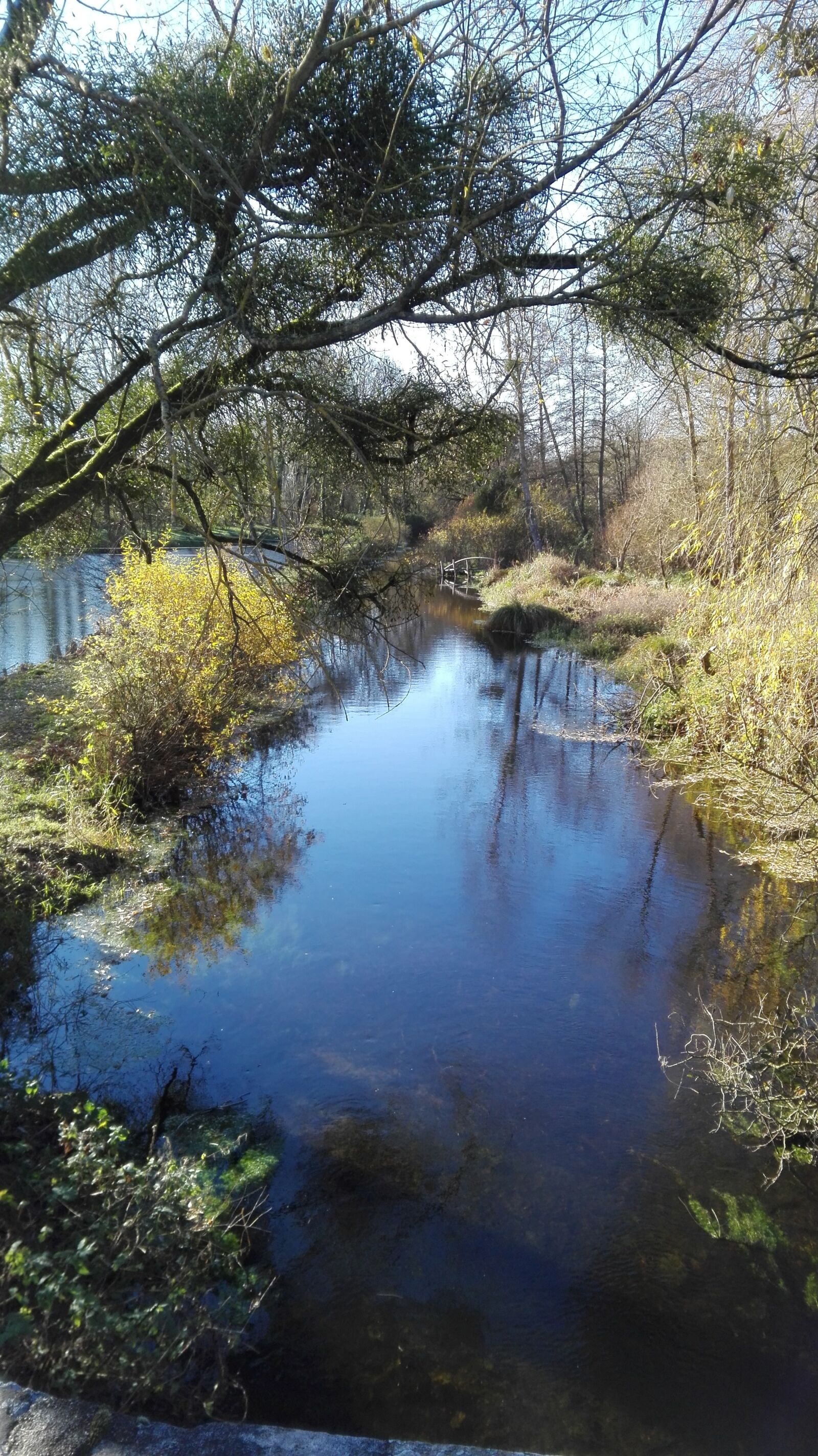 HUAWEI P8 Lite sample photo. Rivière, la, conie photography