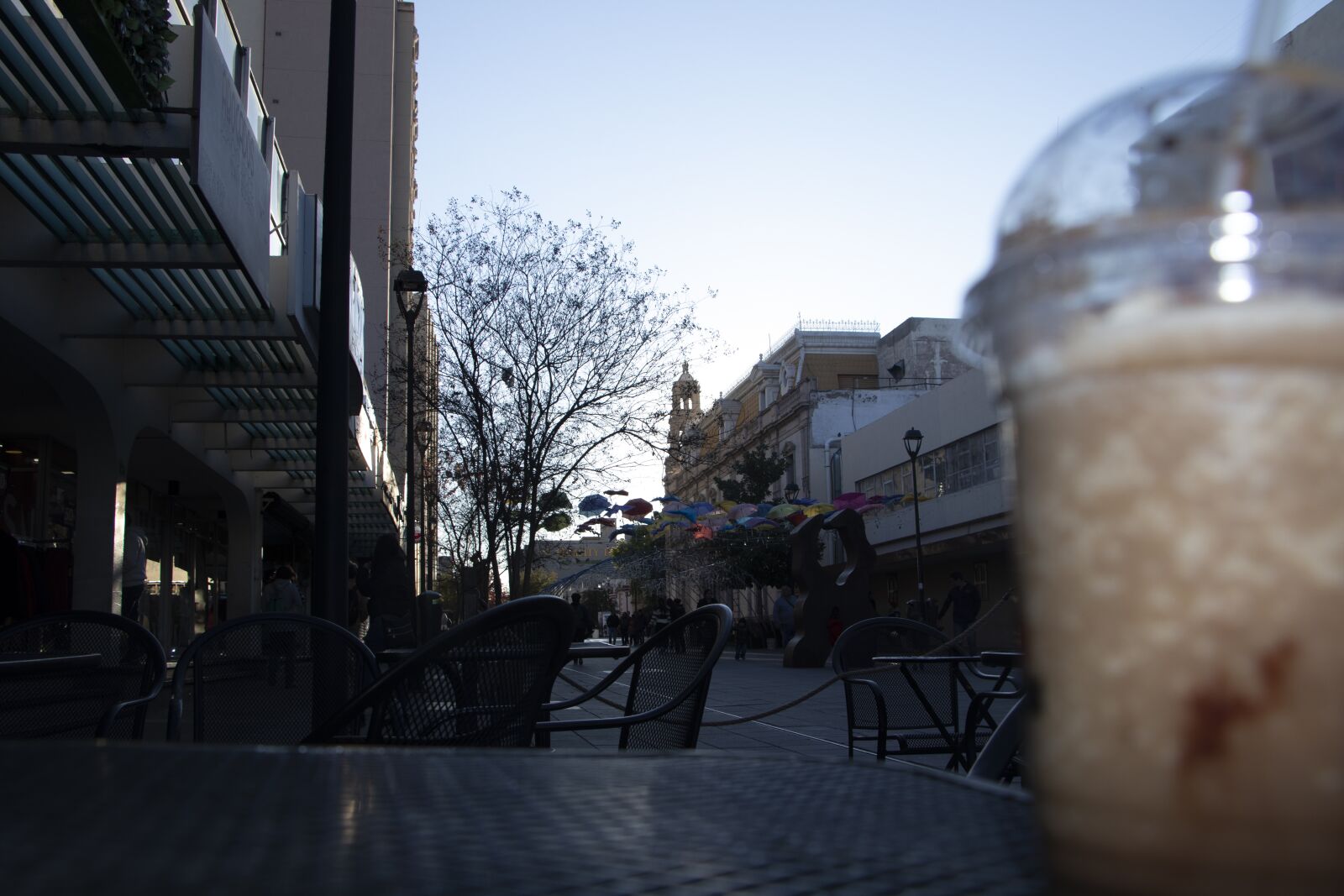 Canon EF-S 18-135mm F3.5-5.6 IS USM sample photo. Chihuahua, coffe, mexico photography