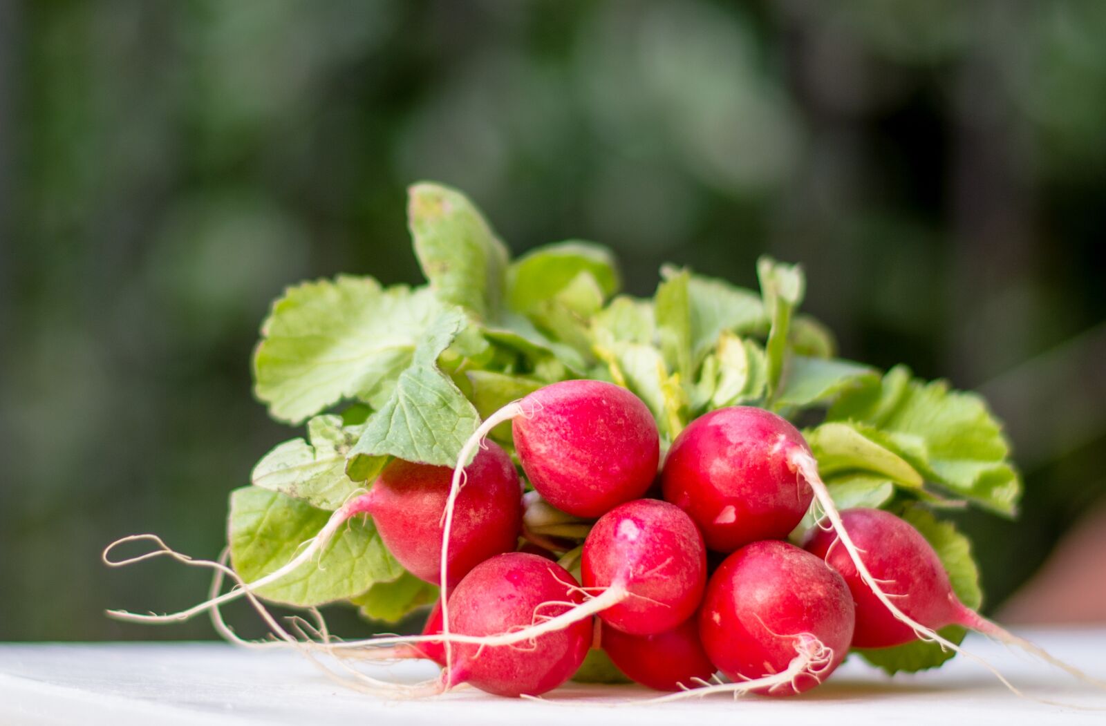Nikon D7100 sample photo. Radish, radishes, blur photography