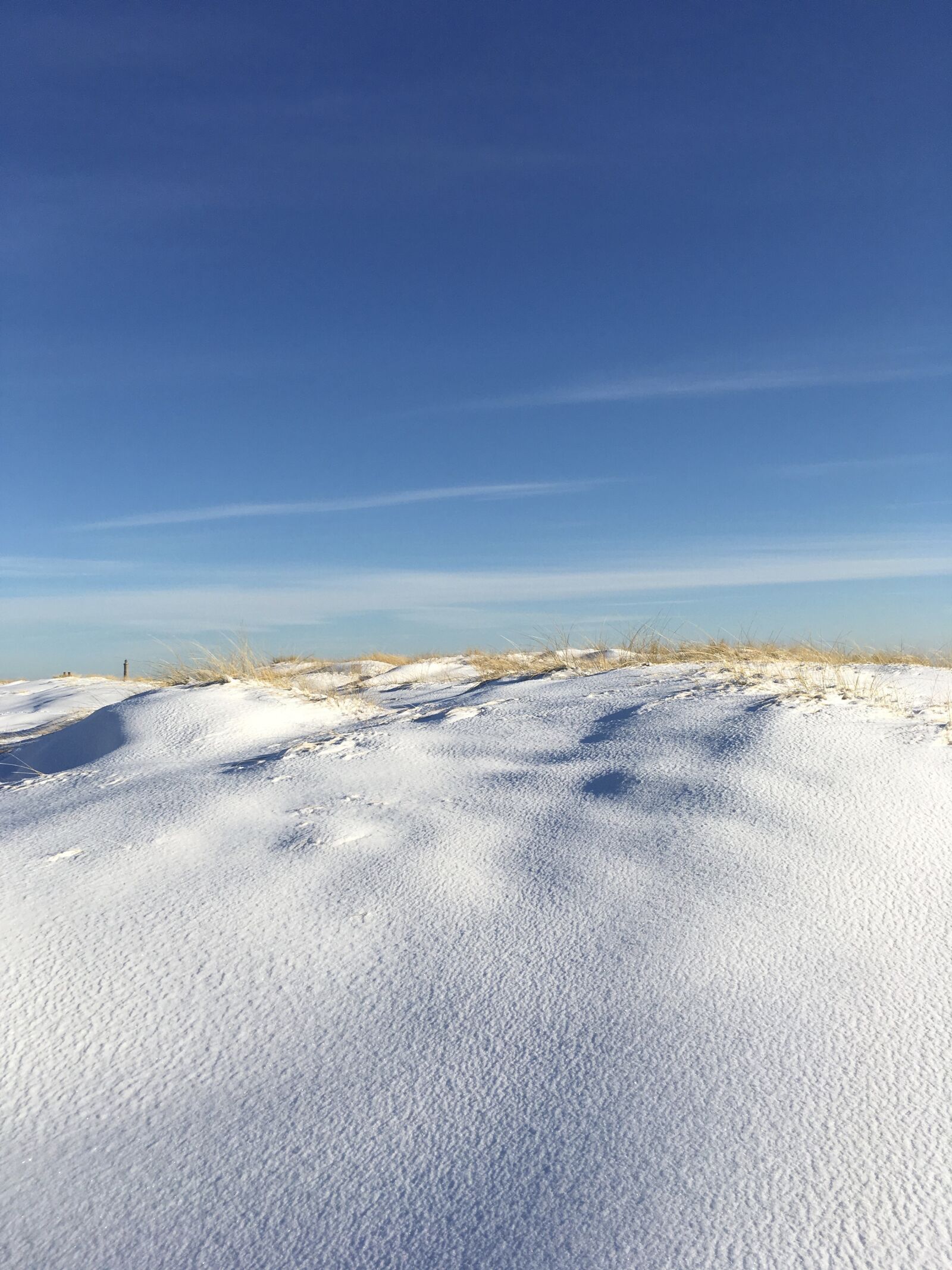 iPhone SE back camera 4.15mm f/2.2 sample photo. Denmark, skagen, branch photography