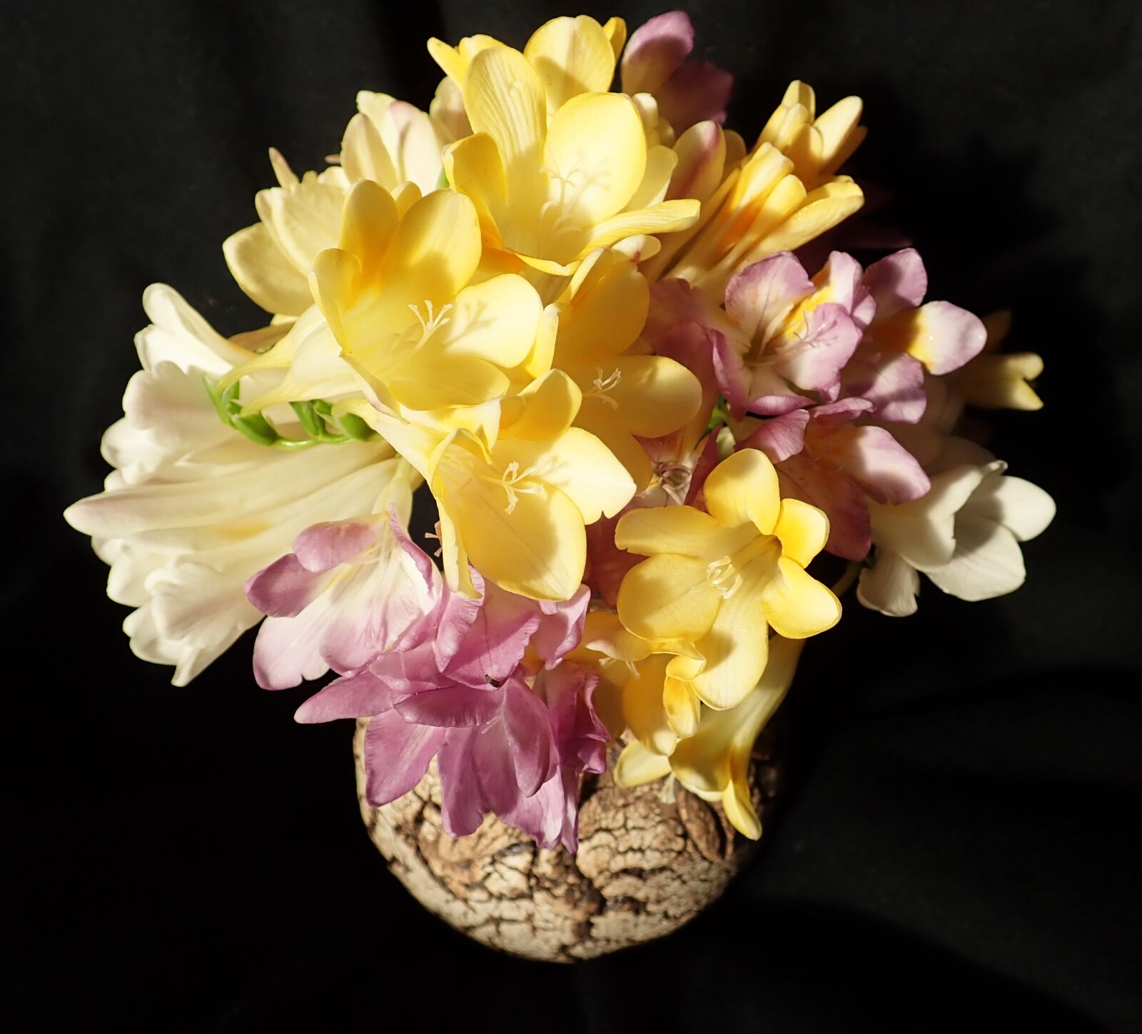 Olympus TG-5 sample photo. Flowers, freesias, vase photography