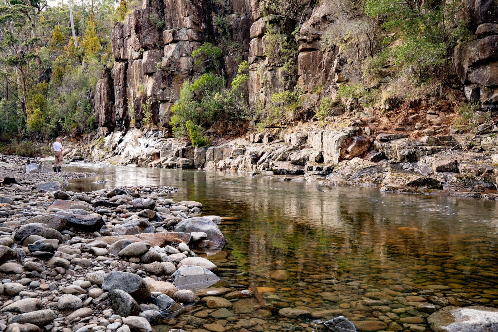 Canon EF 16-35mm F4L IS USM sample photo. Australia, tasmania, sandfly photography