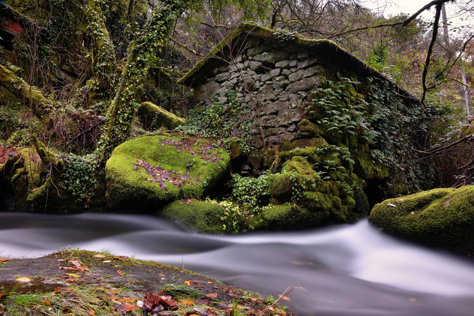 Nikon D7200 sample photo. River, water, nature photography