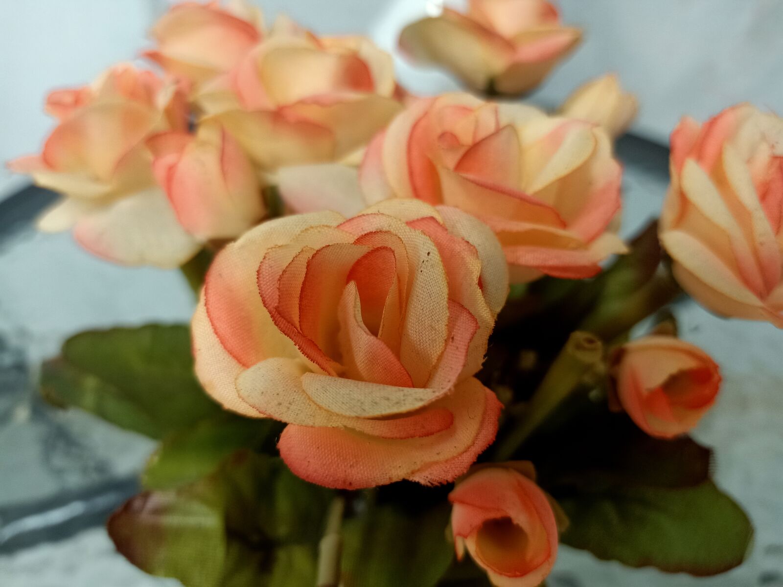 OPPO F11 PRO sample photo. ดอกไม้, พลาสติก, flower photography