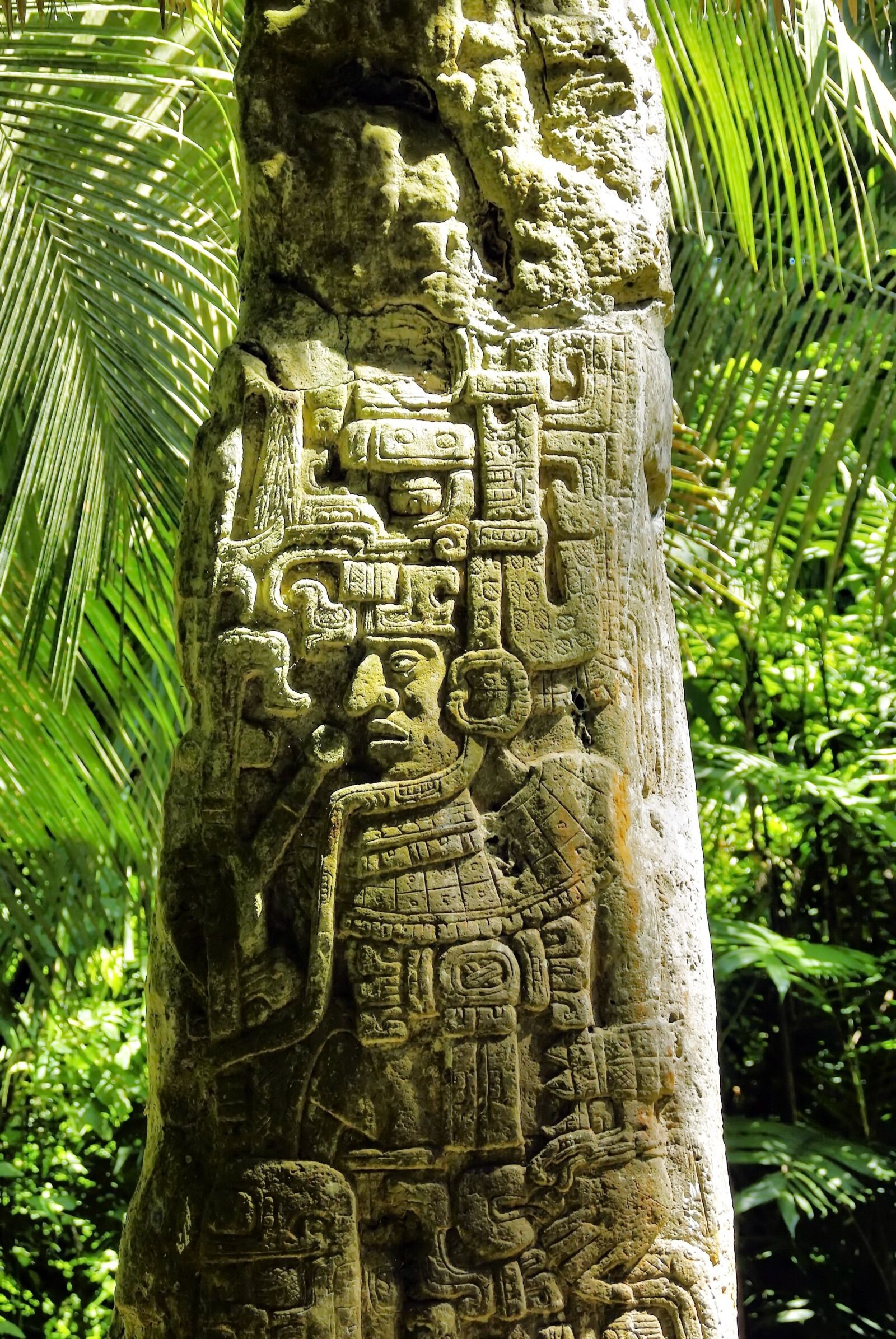 Pentax K200D sample photo. Guatemala, ceiba, sayaxche photography