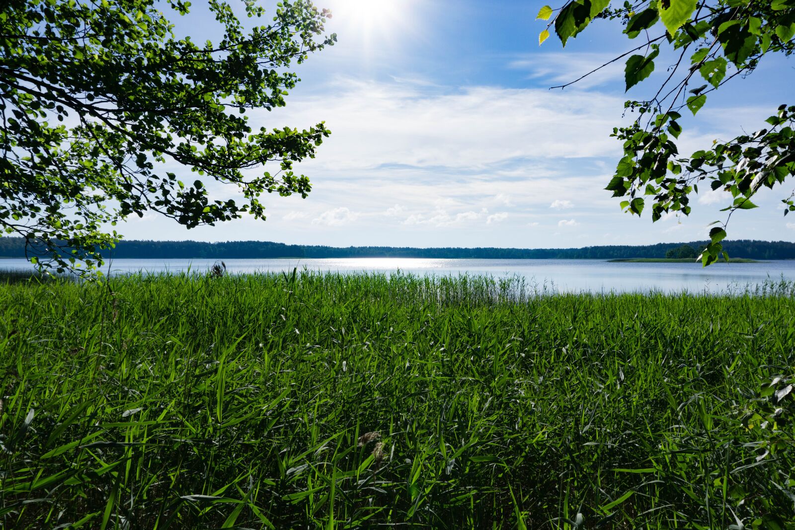 Sony E 16-50mm F3.5-5.6 PZ OSS sample photo. Nature, green, sky photography