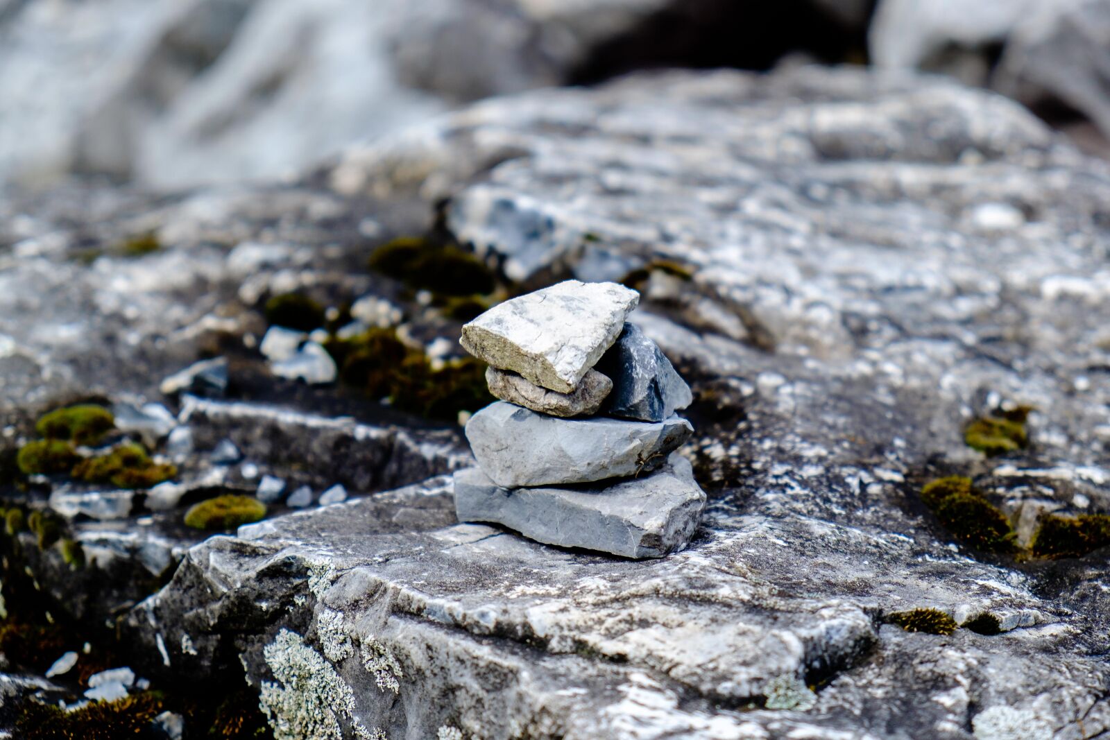 Fujifilm X-T10 sample photo