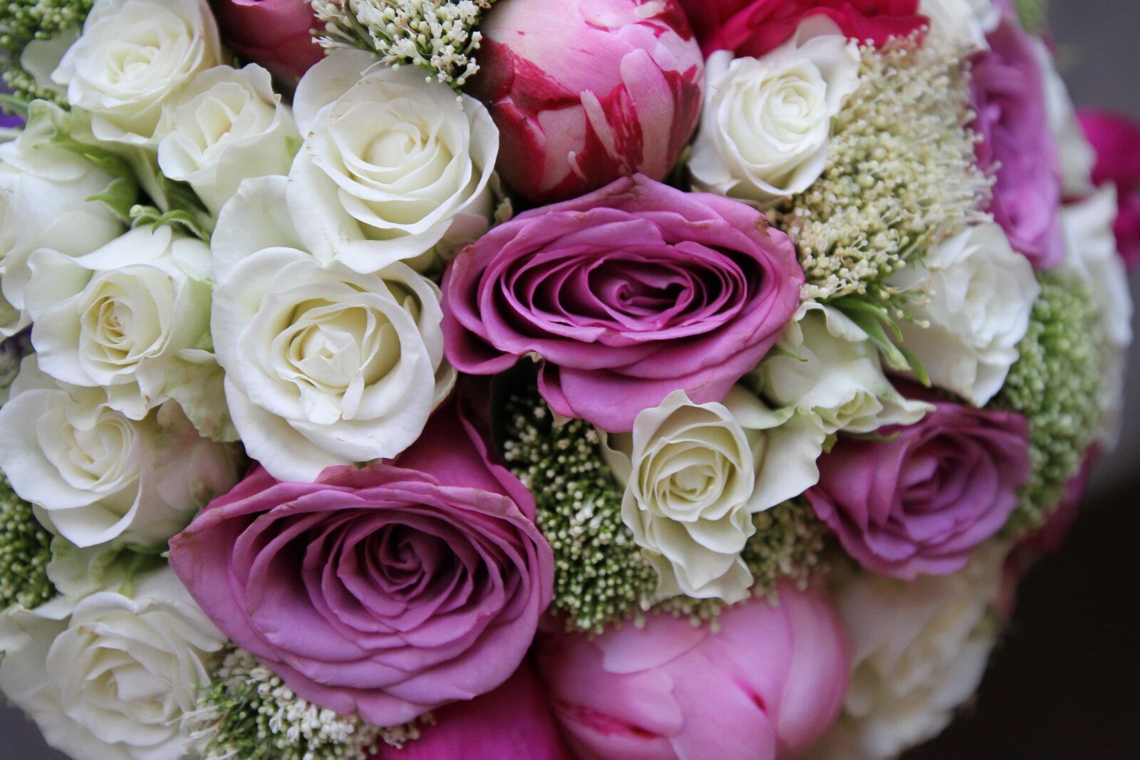 Canon EOS 7D sample photo. Love, rose, romance, decoration photography
