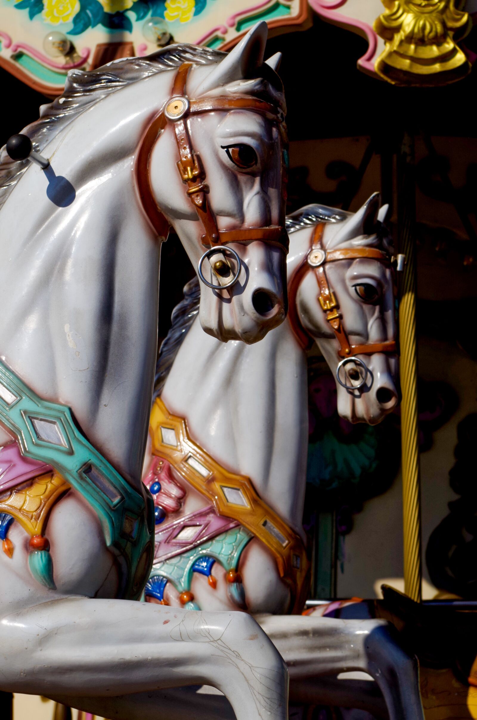 Pentax K-30 sample photo. Carousel, horse, year market photography