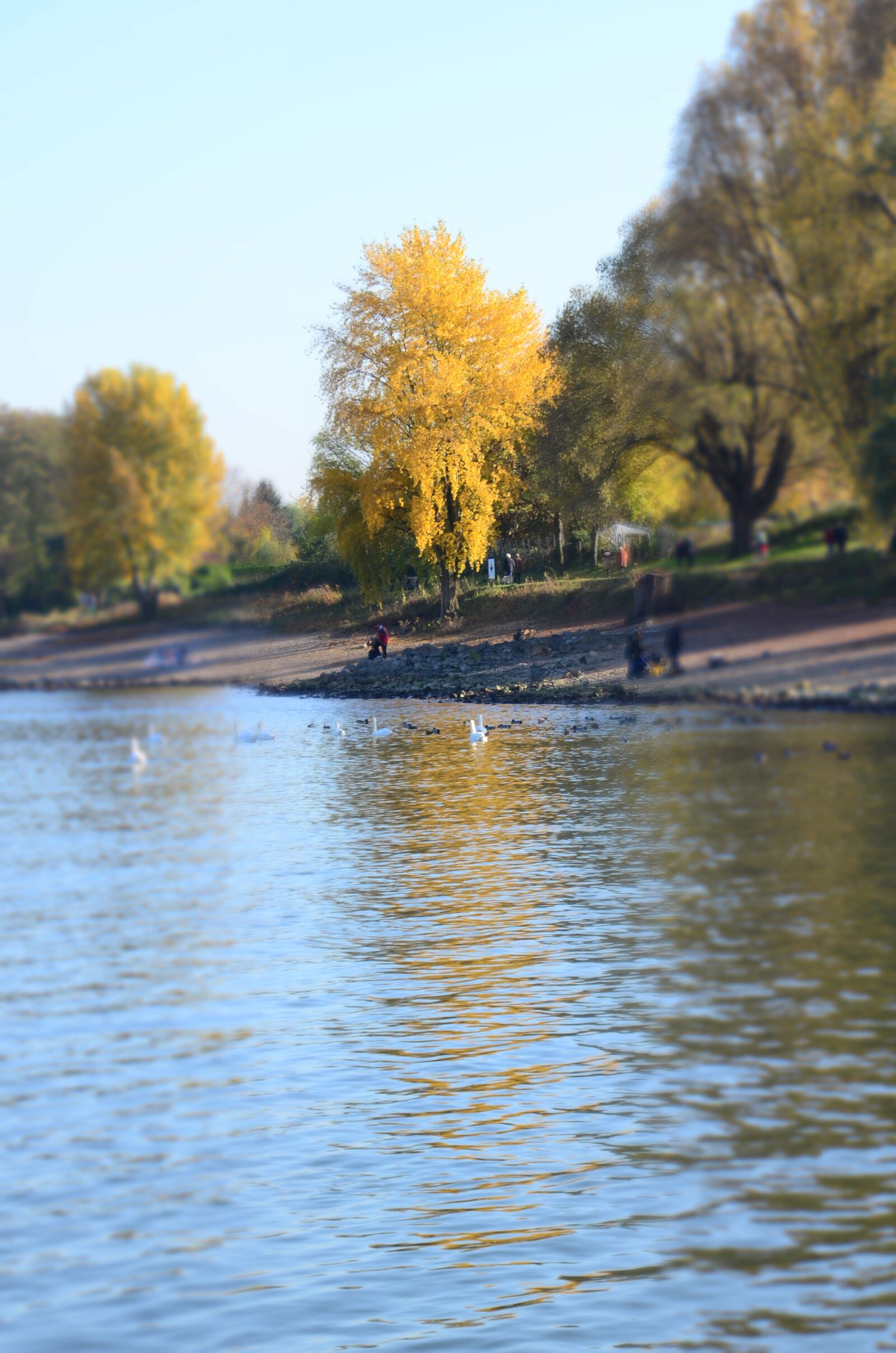 Nikon D5100 sample photo. Rhein, wasser, river photography