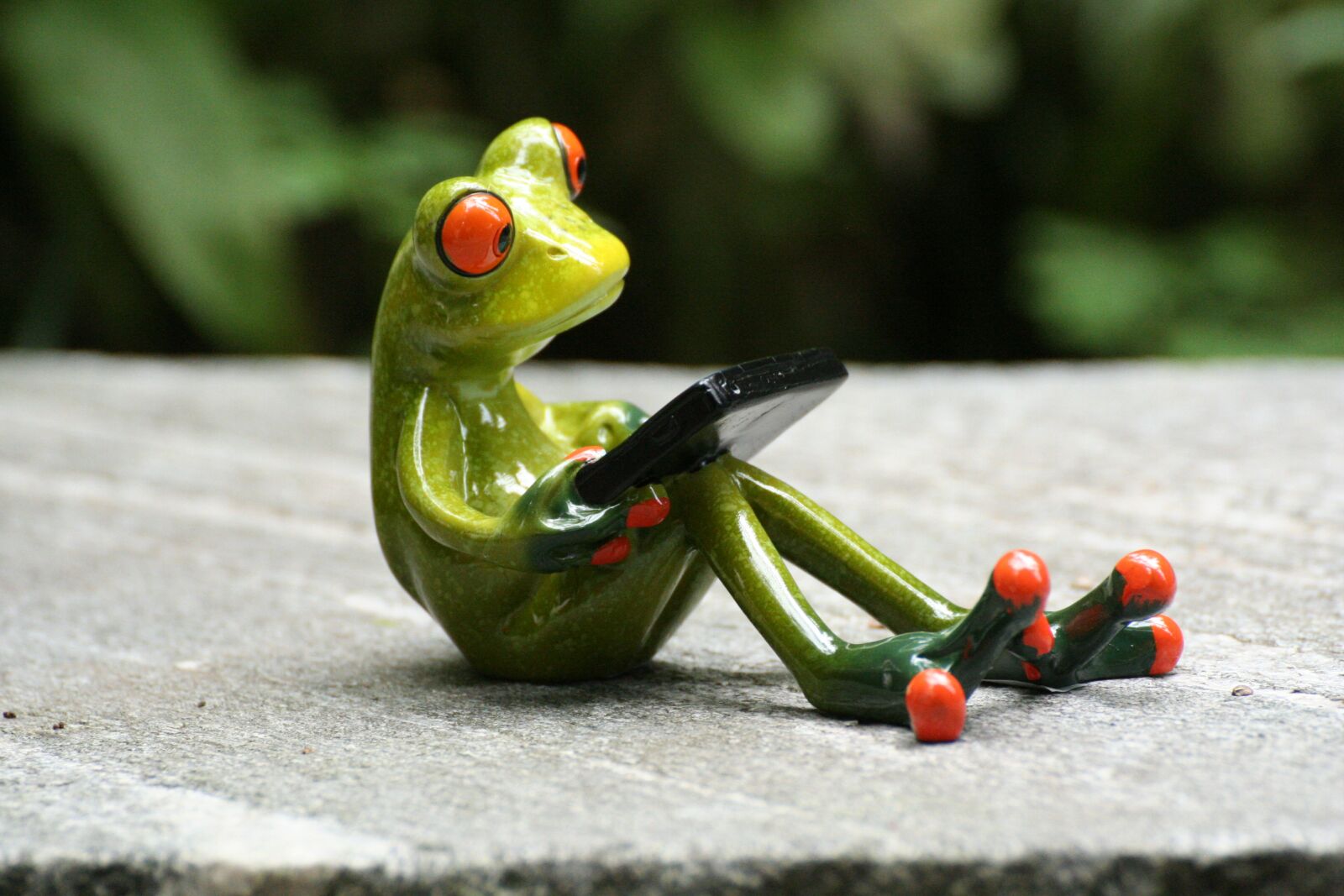 Canon EOS 350D (EOS Digital Rebel XT / EOS Kiss Digital N) sample photo. Tablet, sitting, frog photography