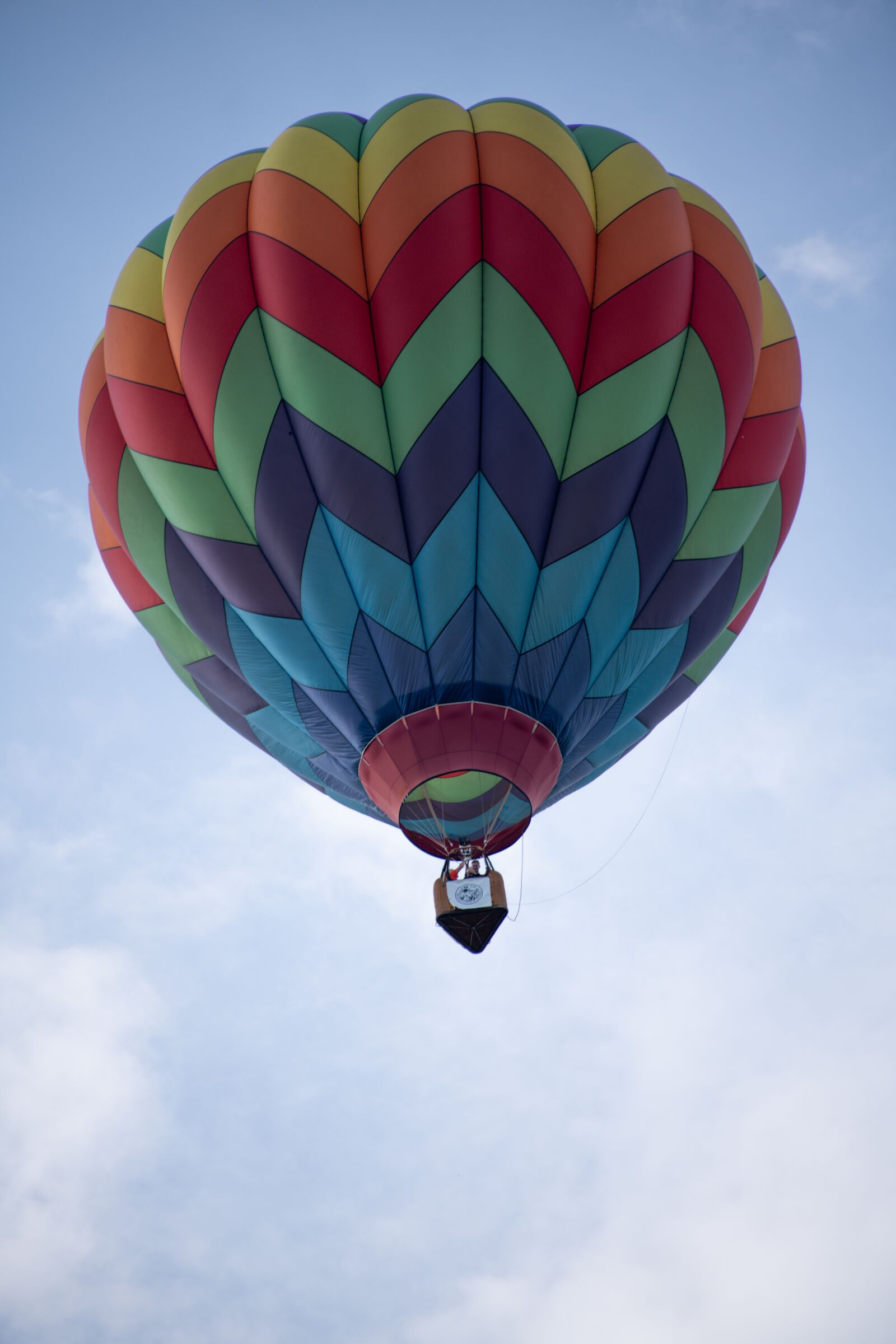 Nikon D850 sample photo. Hot air balloon, balloon photography
