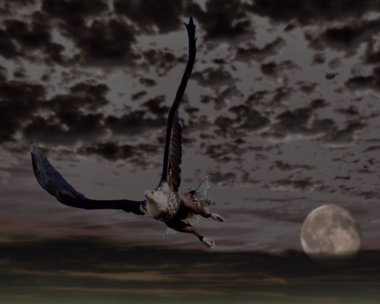 Pentax K-m (K2000) sample photo. Adler, bald eagle, moon photography