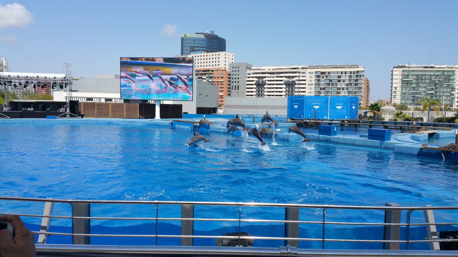 Samsung Galaxy Note4 sample photo. Dolphins, scenario, aquarium photography