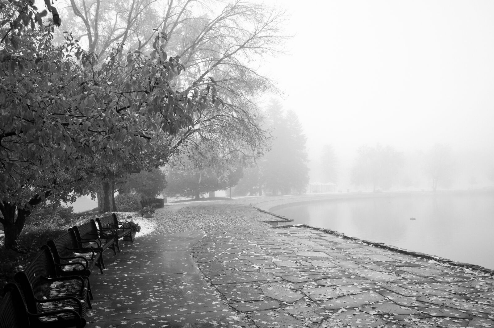 Nikon D5000 sample photo. Black, benches, black, and photography