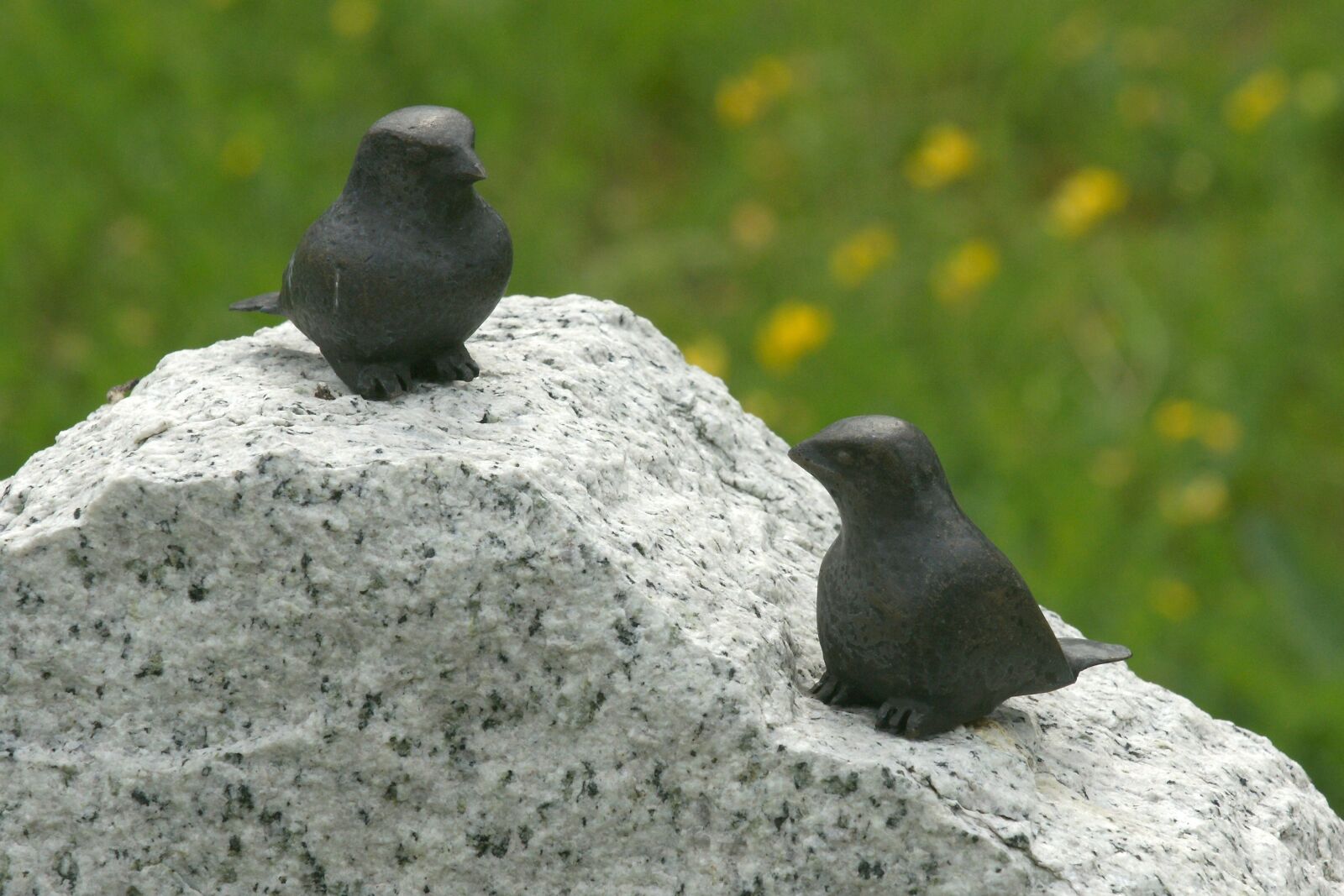 Sony Alpha DSLR-A700 sample photo. Birds, stone, nippes photography
