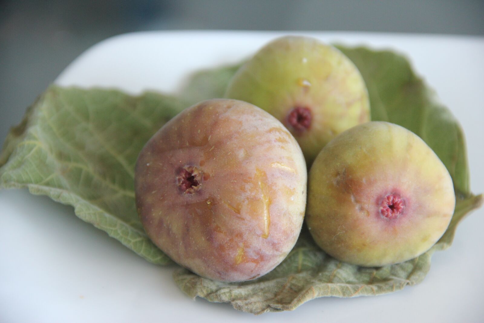 Canon EOS 550D (EOS Rebel T2i / EOS Kiss X4) sample photo. Figs on leaf, fruit photography