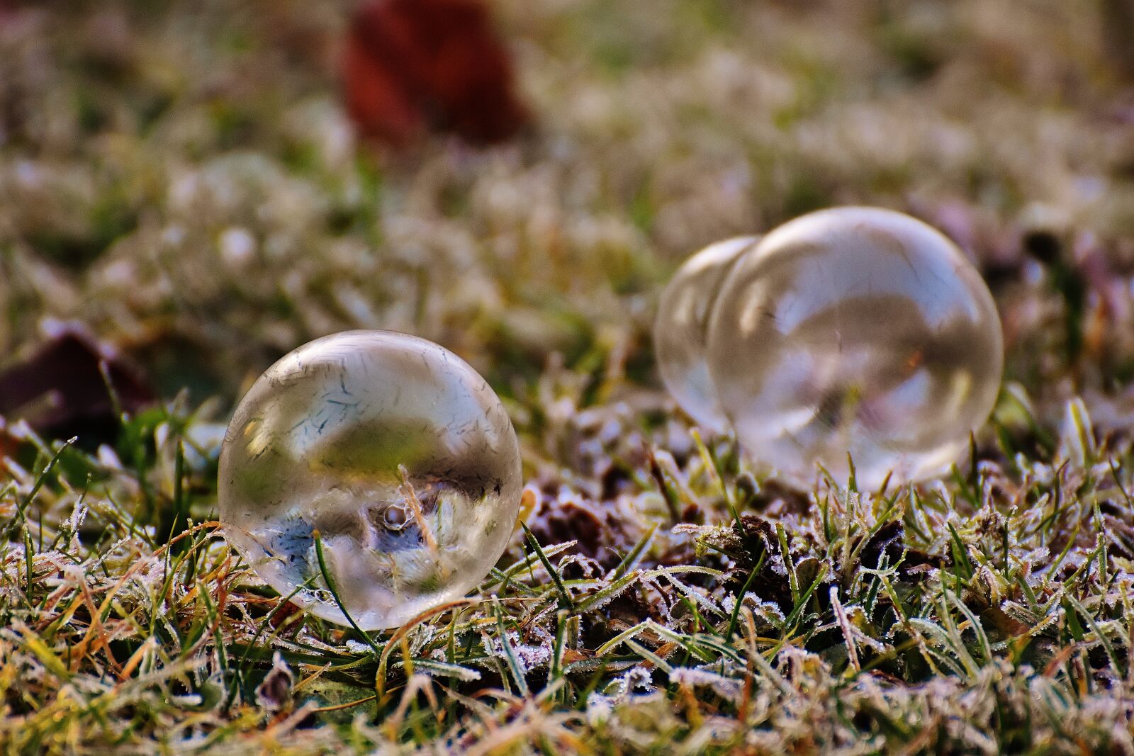 Nikon D7200 sample photo. Soap bubble, frozen, winter photography