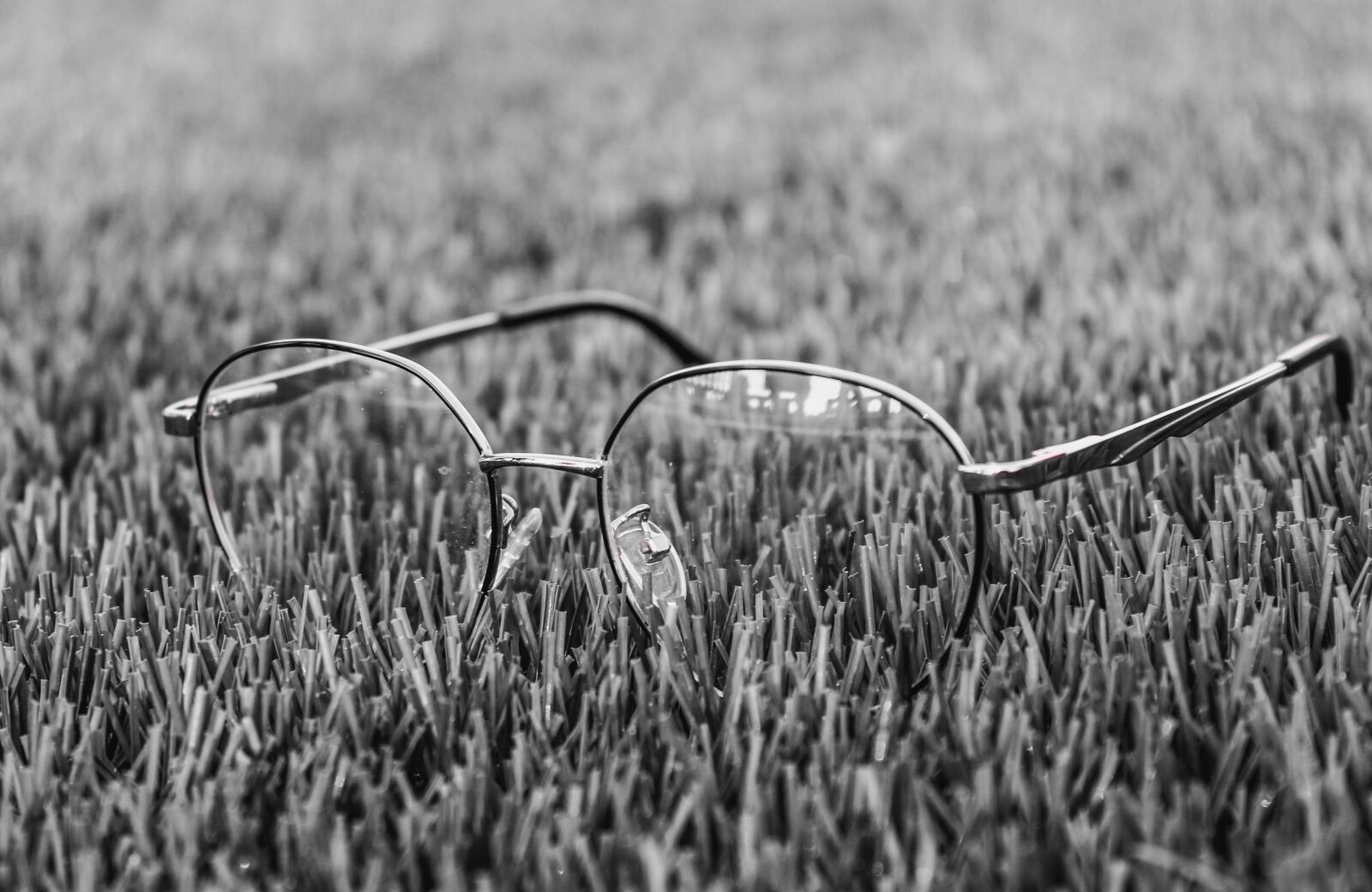 Canon EOS 1100D (EOS Rebel T3 / EOS Kiss X50) sample photo. Glasses, grass, pitch grass photography