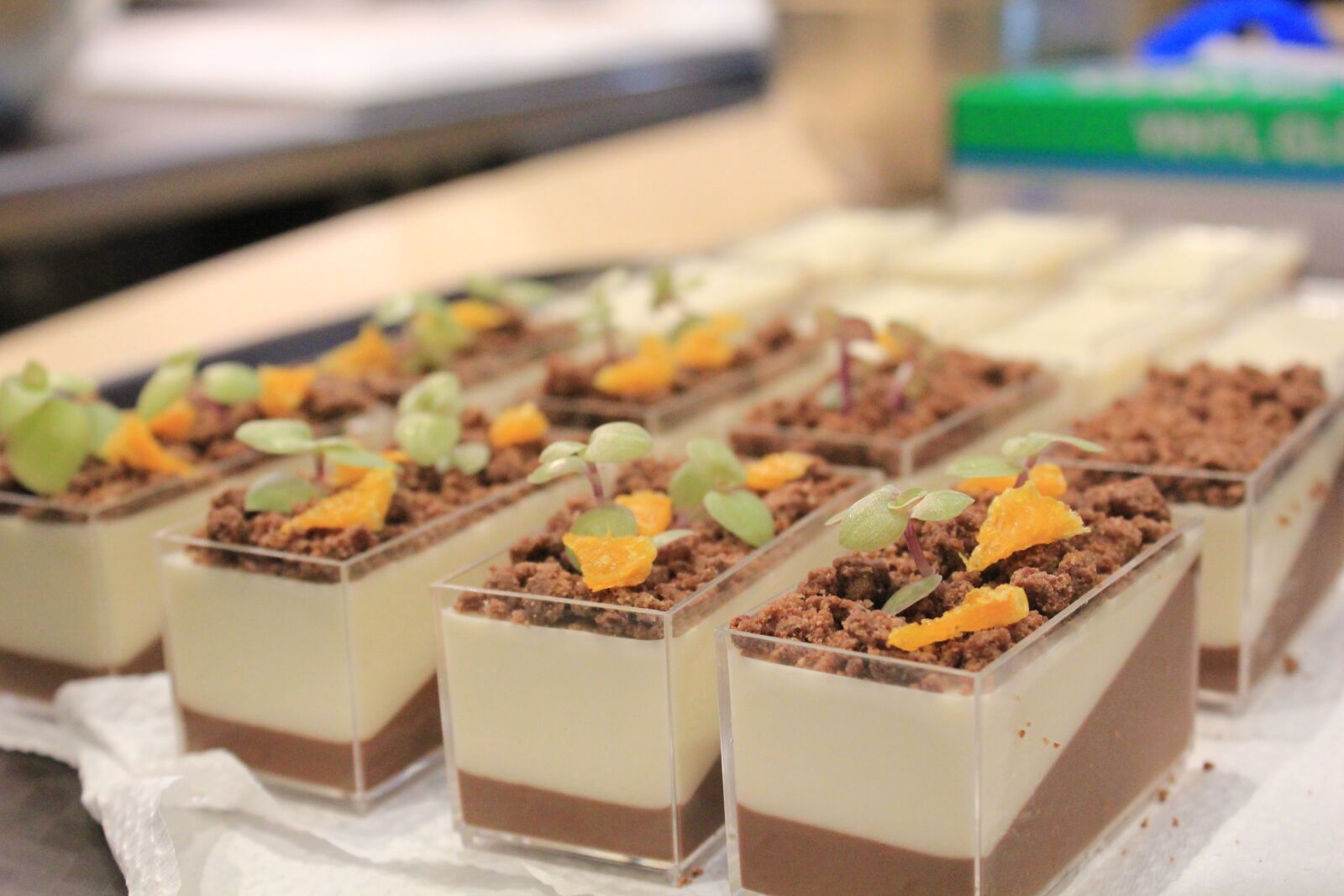 Canon EOS 550D (EOS Rebel T2i / EOS Kiss X4) sample photo. Chocolate, cake, dessert photography